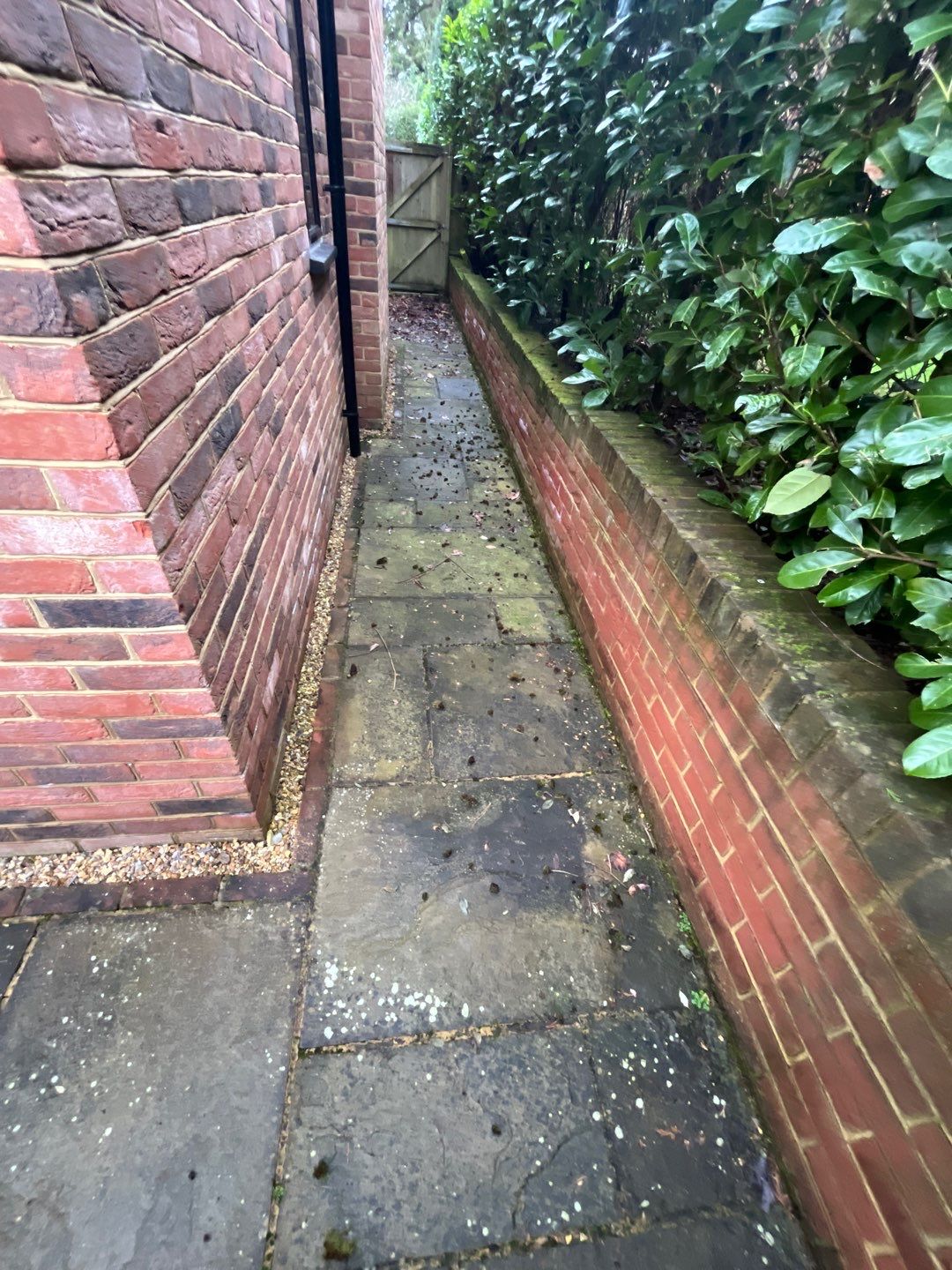 Patio Area Spring Clean using 18inch Whirlaway FSC by Ges Exterior Cleaning ltd