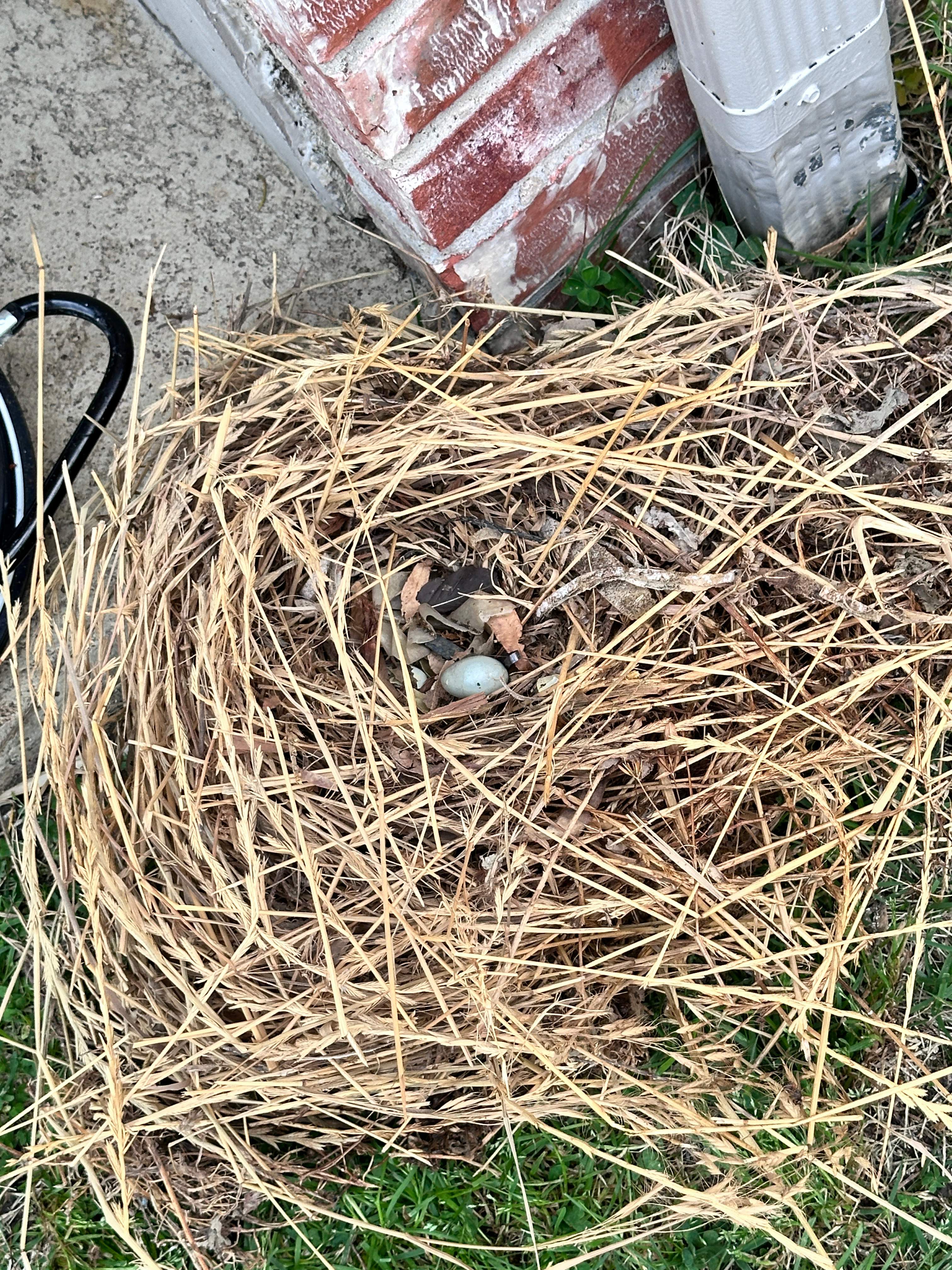 Shared Space by Rockwall Honey Bee Company