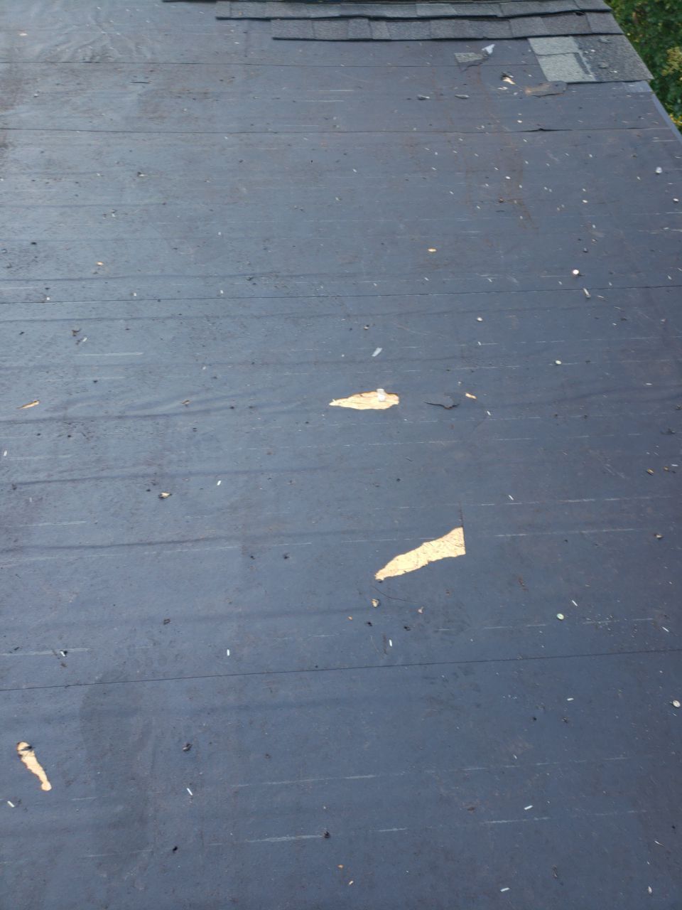 Alexandria: CertainTeed Landmark Pro Designer Shingles in Max Def Colonial Slate by RM Banning, Inc.