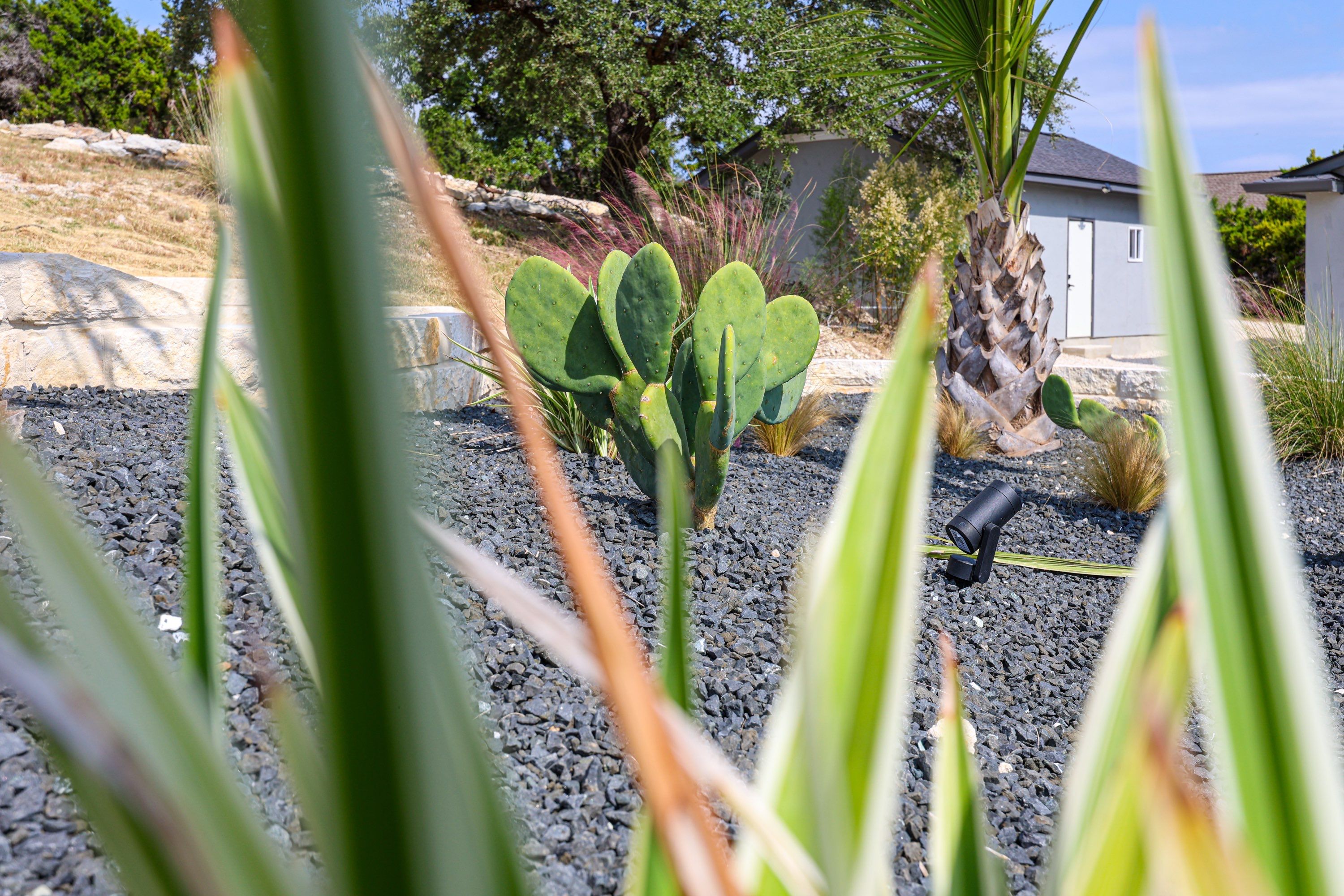 Mountain Spring - Canyon Lake, TX by Hole In One Lawns, LLC