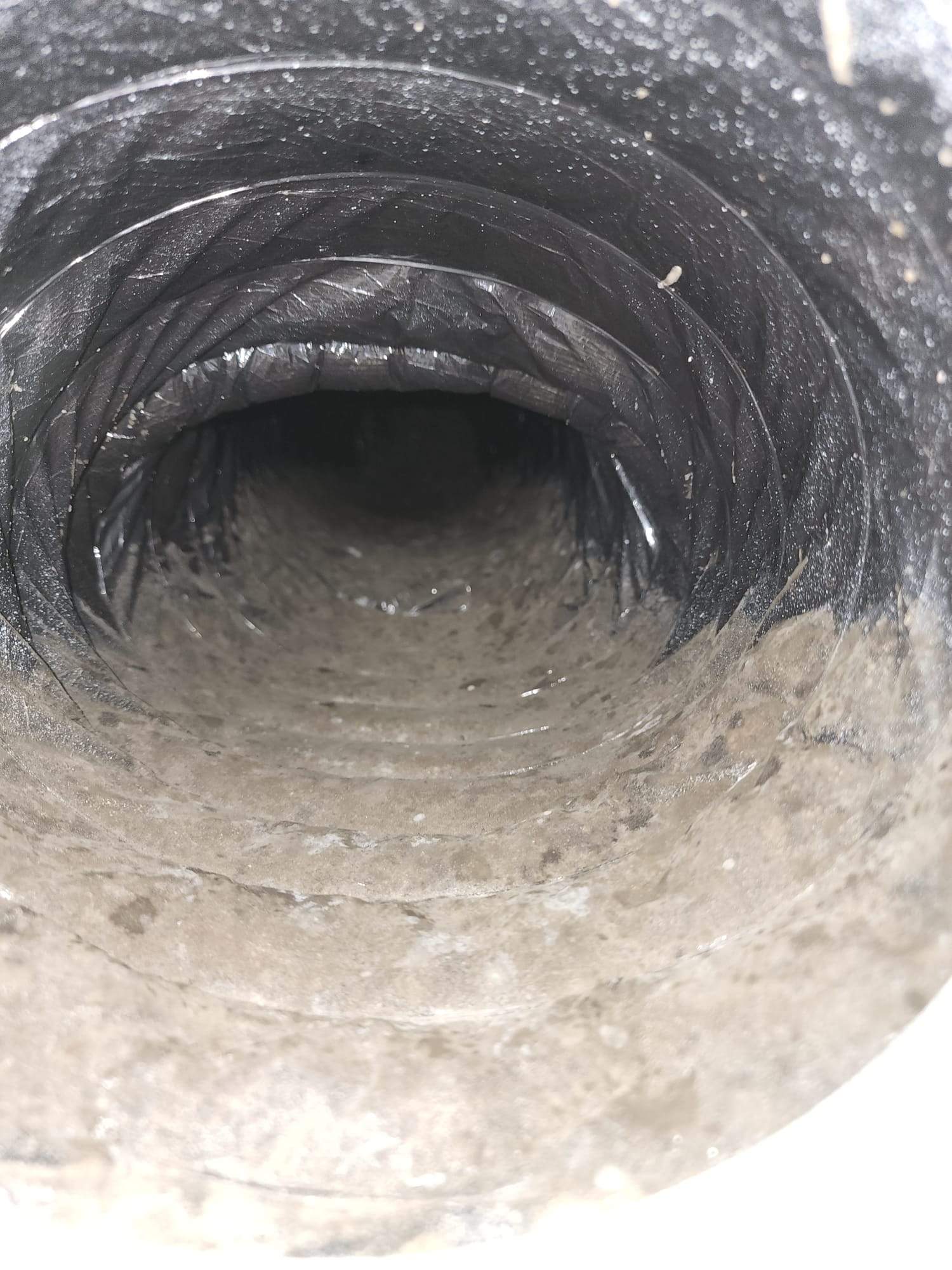Holmes Beach AC Mold Deep Cleaning by Ampm Restoration Services 