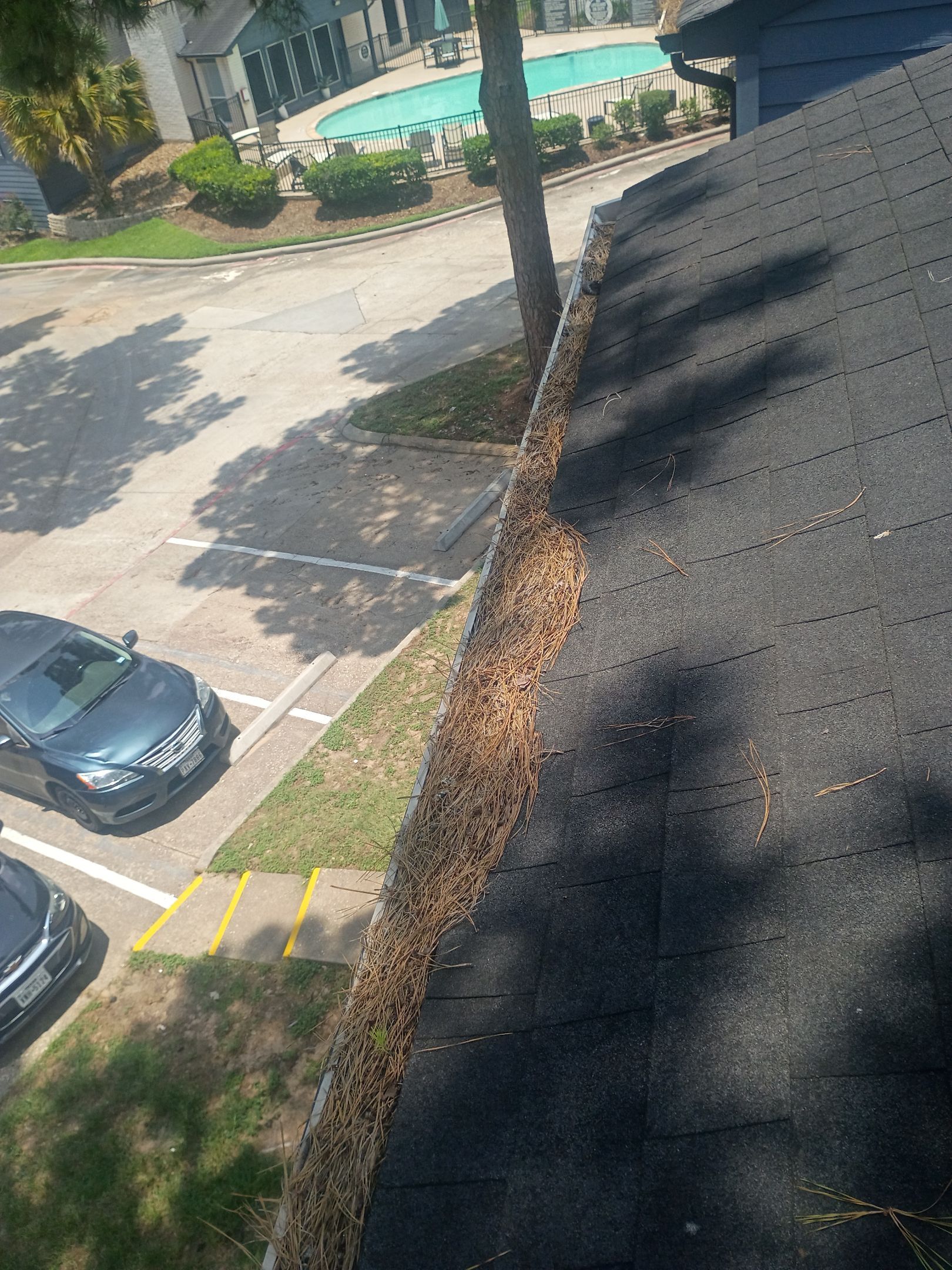 Commercial gutter cleaning College Station & Bryan, TX before photo with filled gutters
