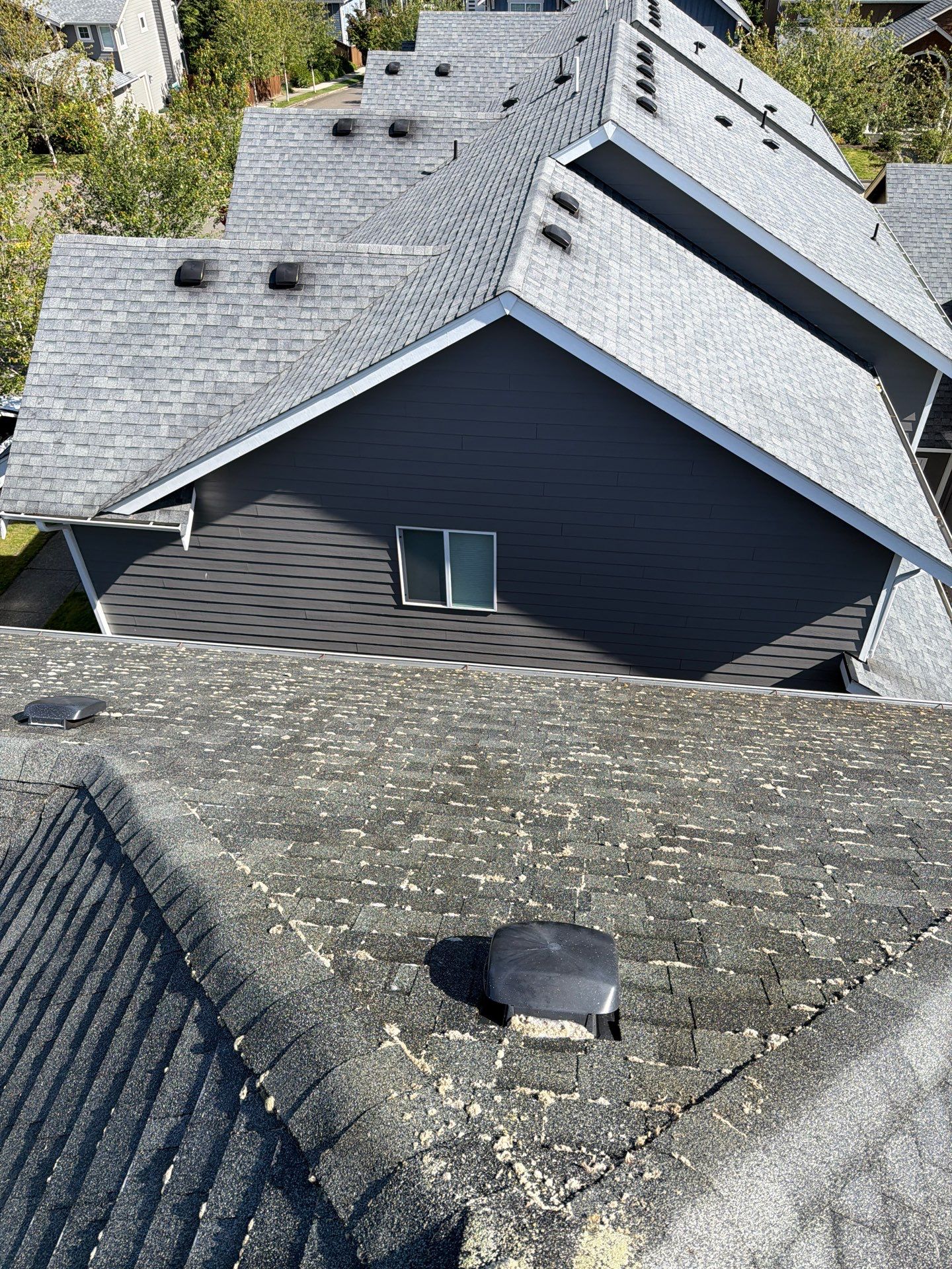 Project in North Bend by WindowWorks