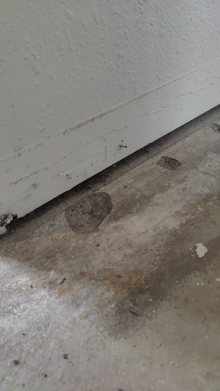 Mold Remediation by Accountable Home Services