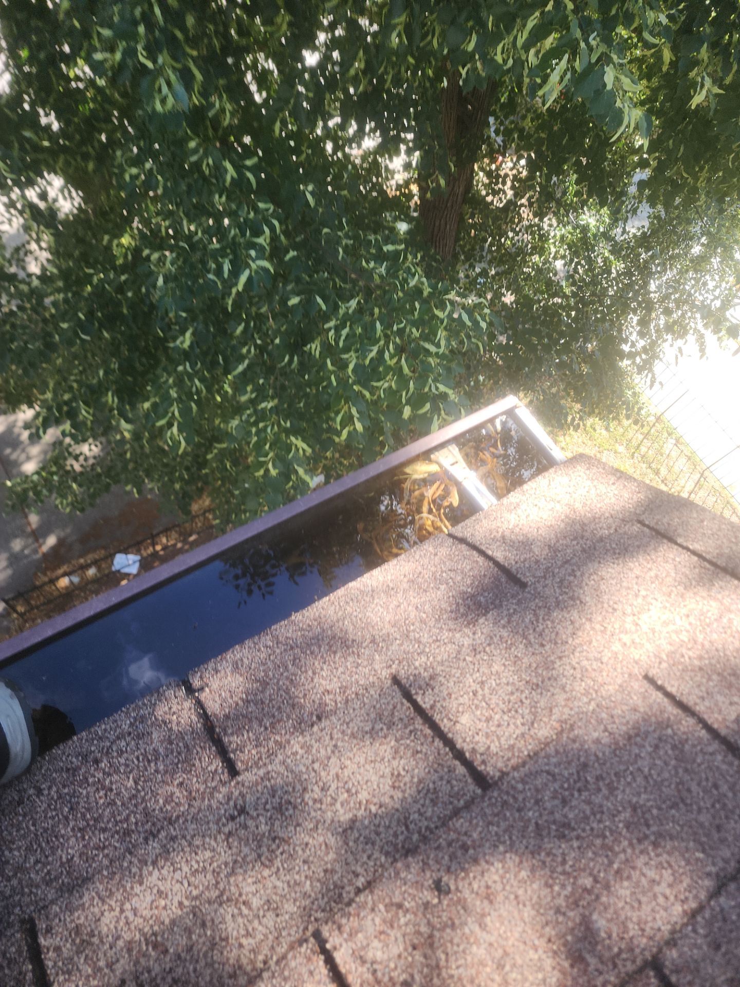 HOA gutter cleaning before photo