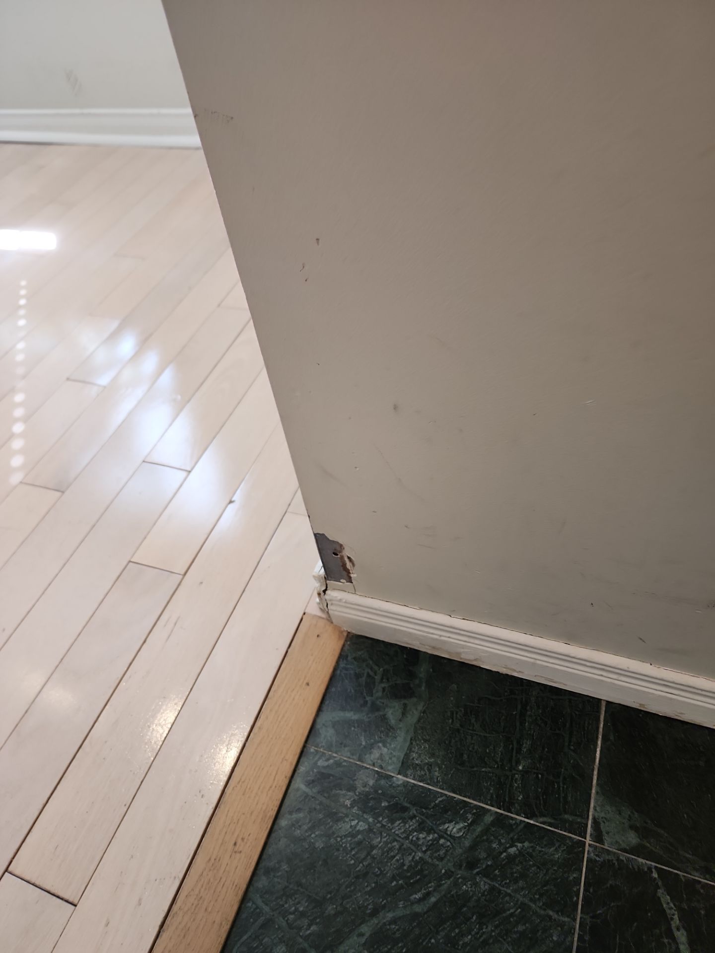 Project in Toronto by GTA HOME PAINTING