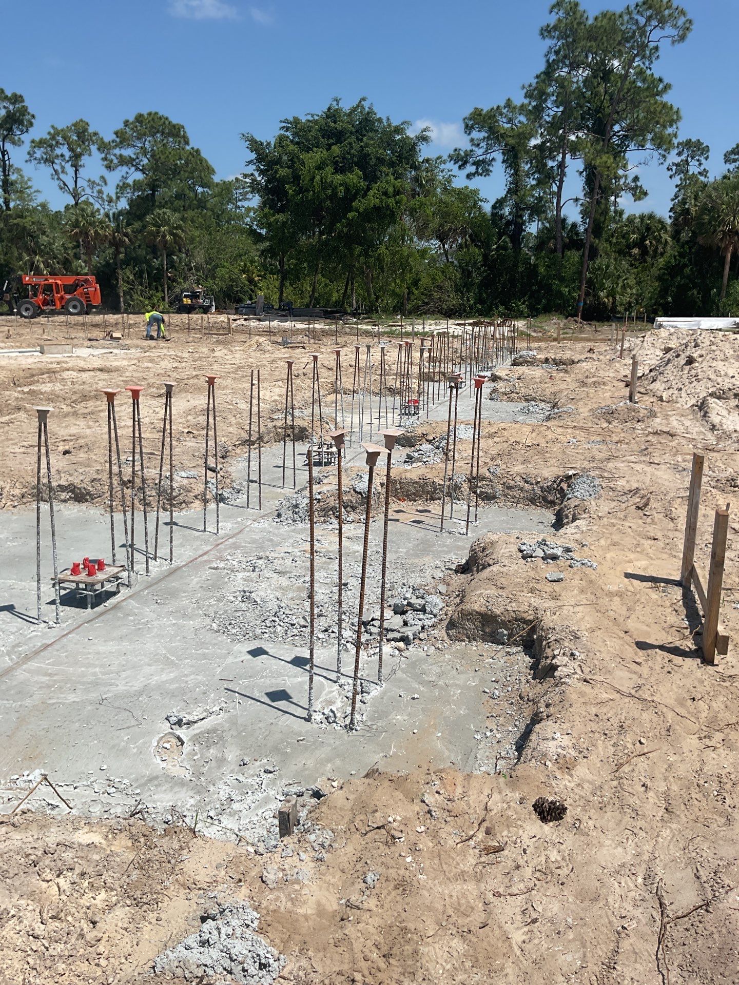TRACTOR SUPPLY NAPLES by Southern Gulf Construction