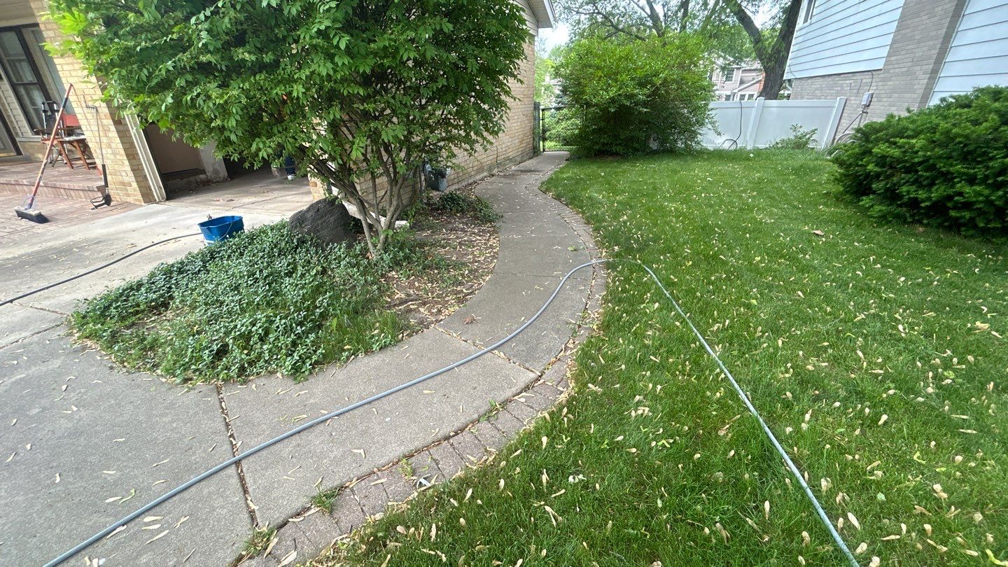 Mount Prospect, IL Driveway cleaning by Northern Power Washing LLC.