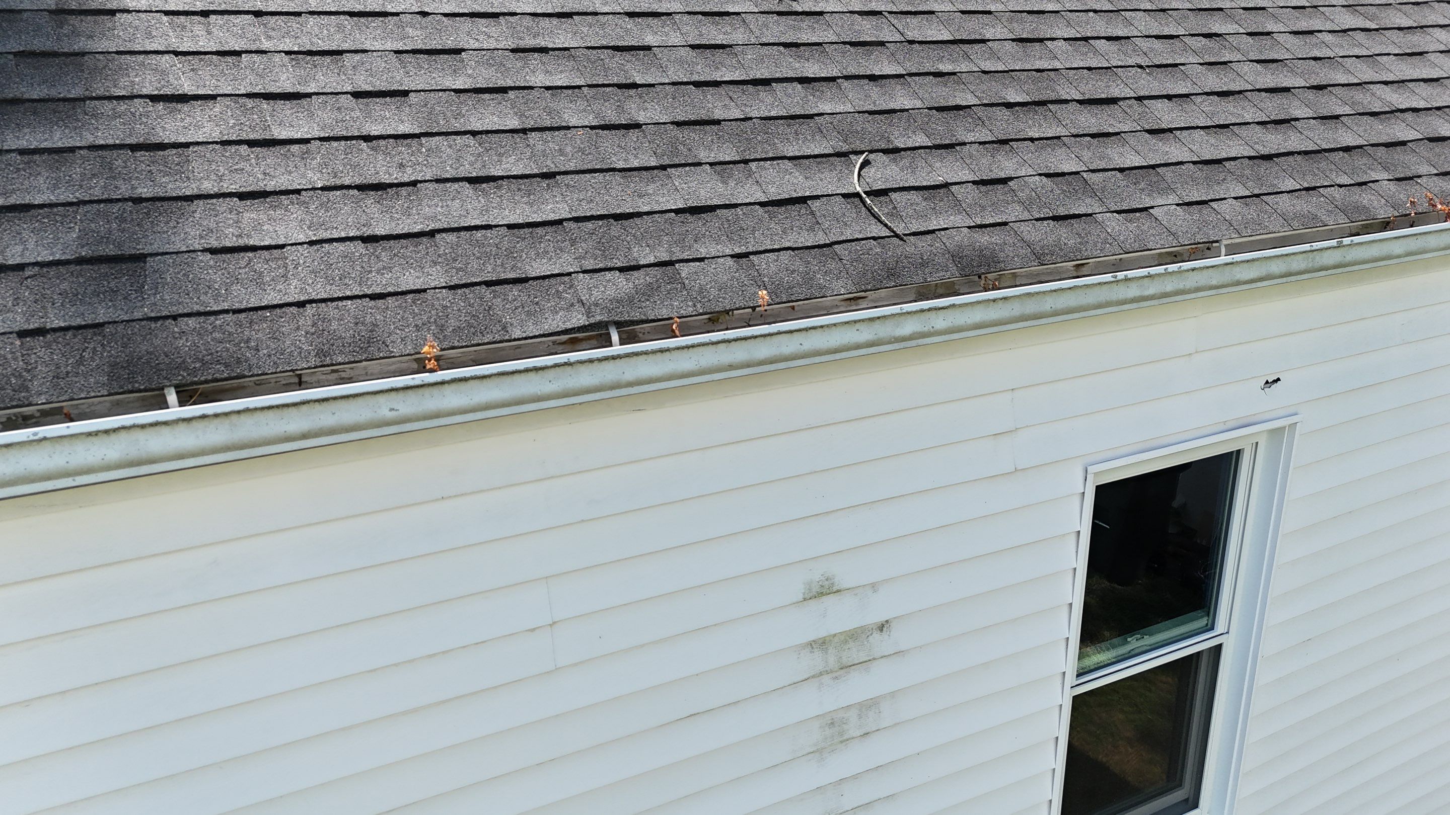 Gutter Guard Installation – Chelmsford, MA by Mighty Dog Roofing of Greater Middlesex County