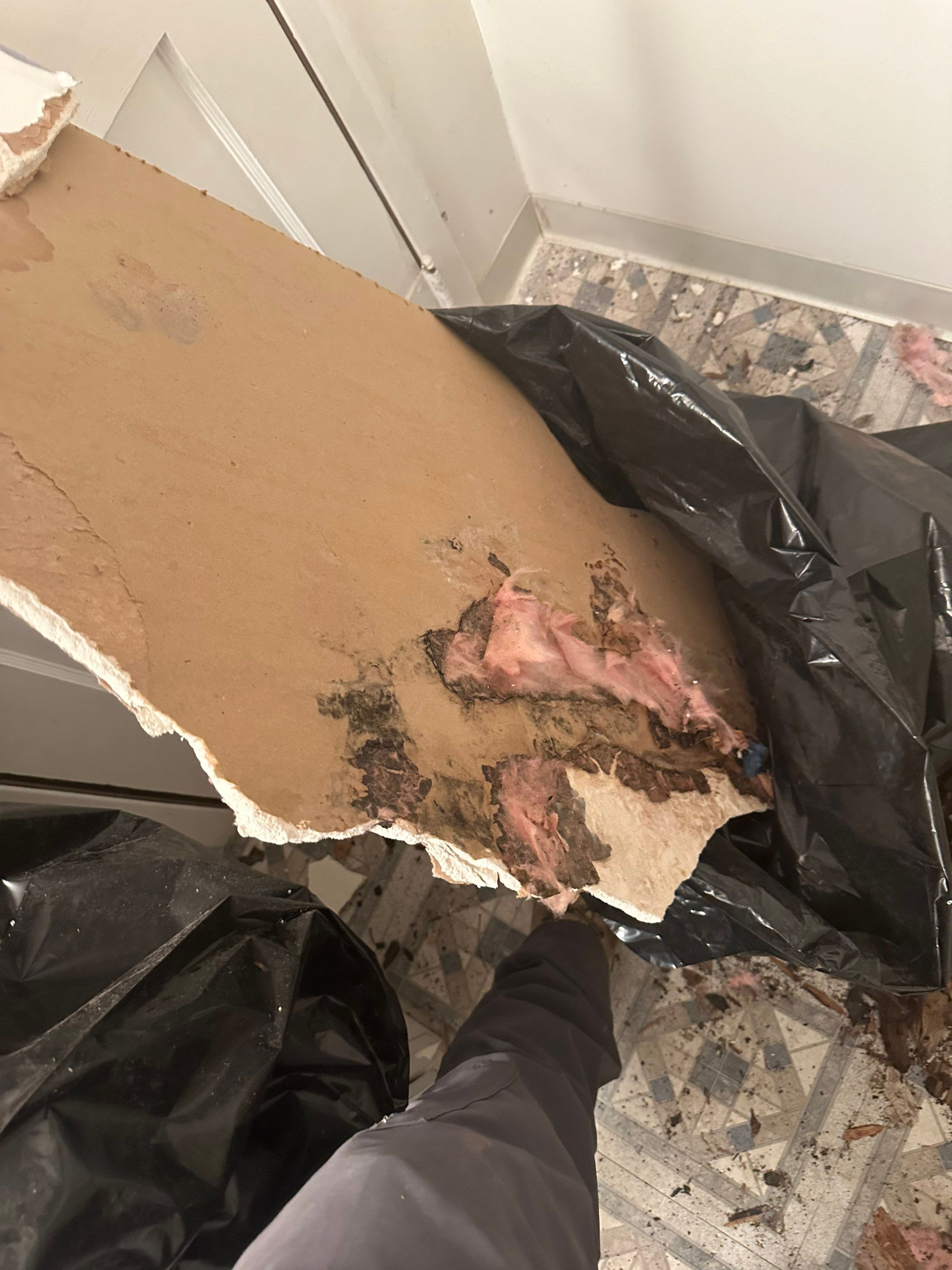 Bathroom Ceiling Replacement by BlueRed Restoration