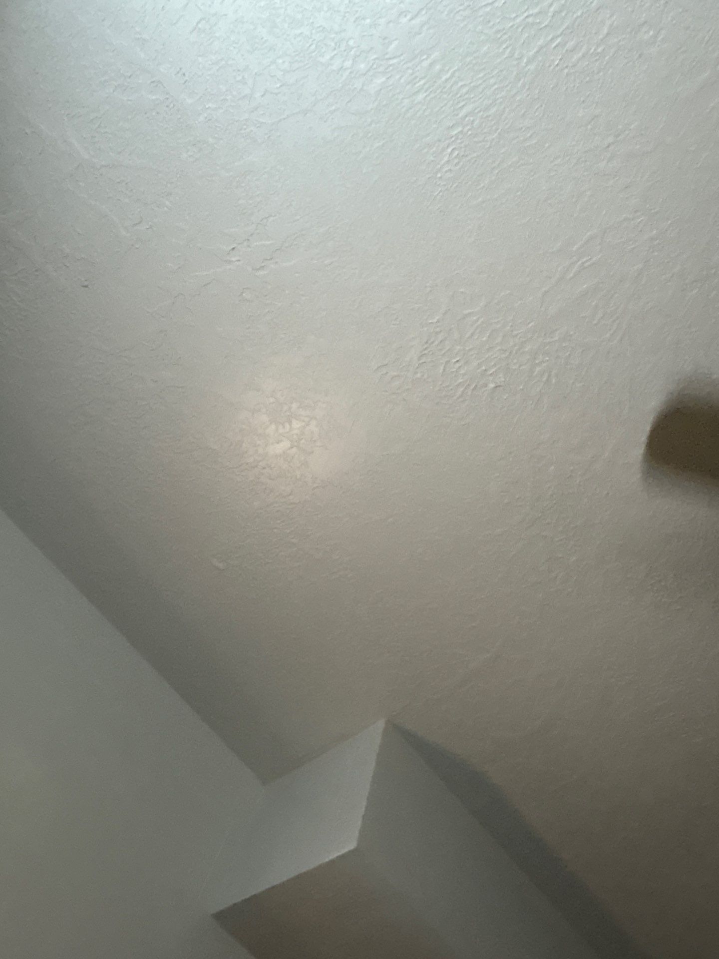 Vista Station Roof Replacement by CompanyCam | Account Management Demo Account