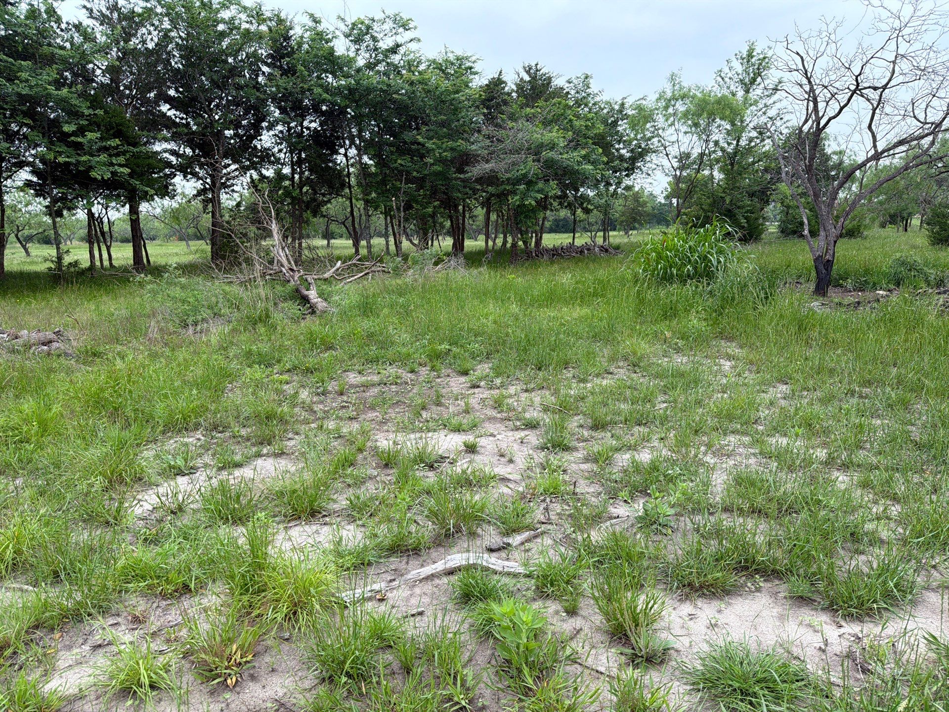 Exemption in Royse City, TX by Rockwall Honey Bee Company