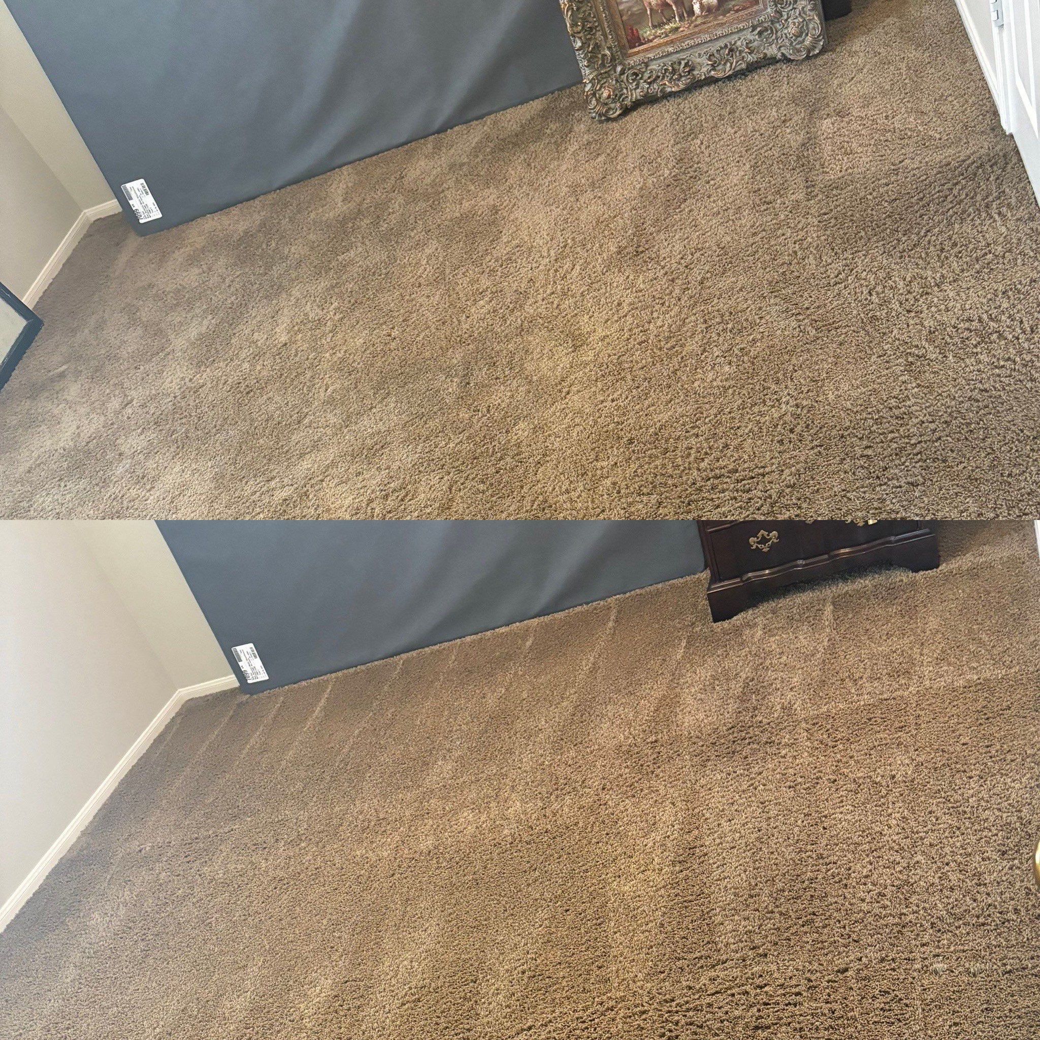 the service is carpet cleaning showing a noticeable difference in cleanliness and texture between the two areas of carpet