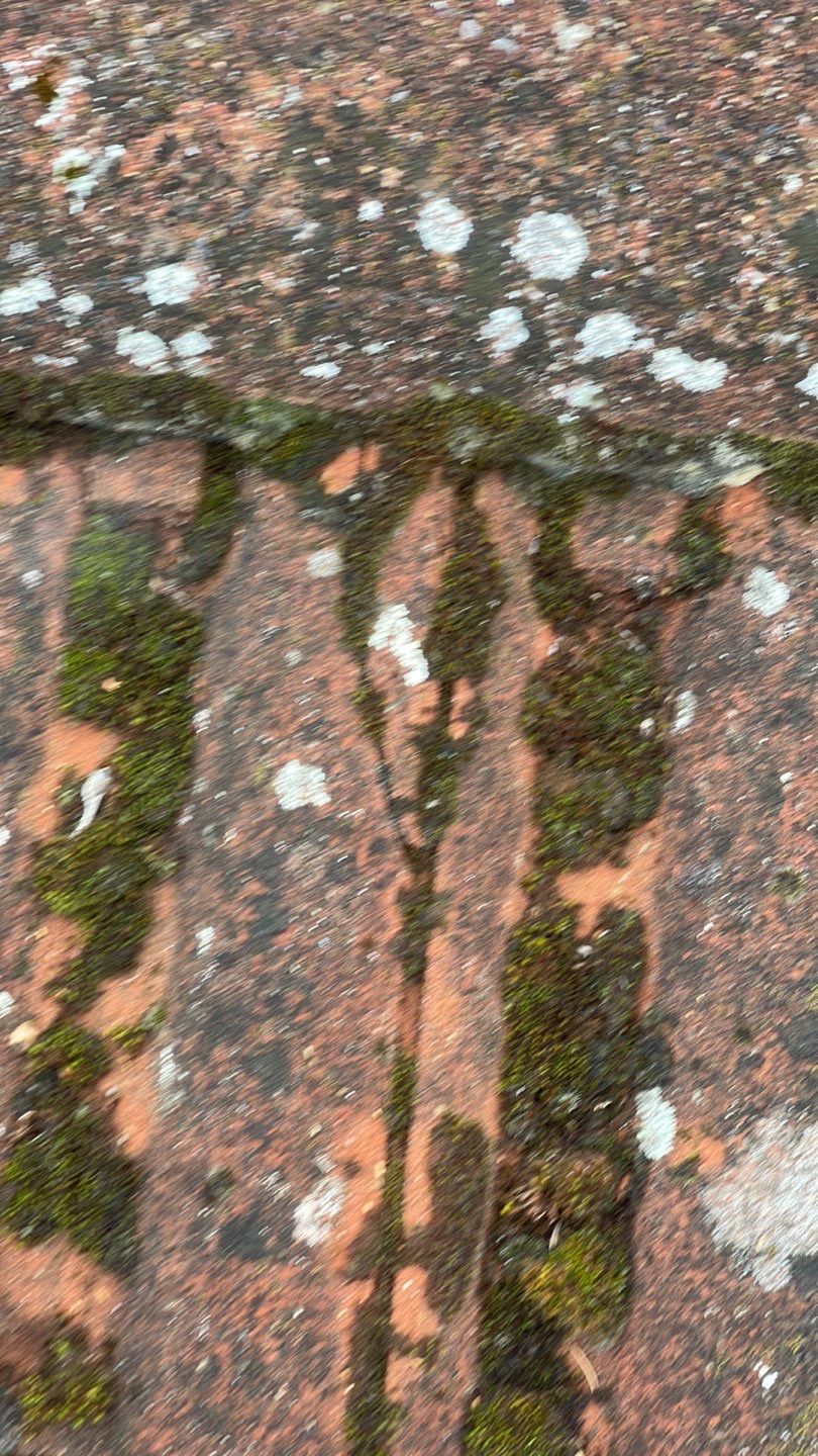 Roof And Render Clean using Honda 15lpm Low Pressure Washing Machine by Ges Exterior Cleaning ltd