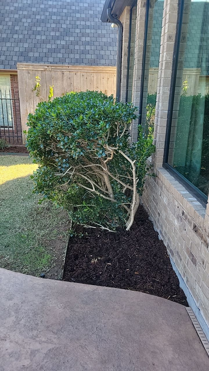 Landscape  by Clays Services Inc
