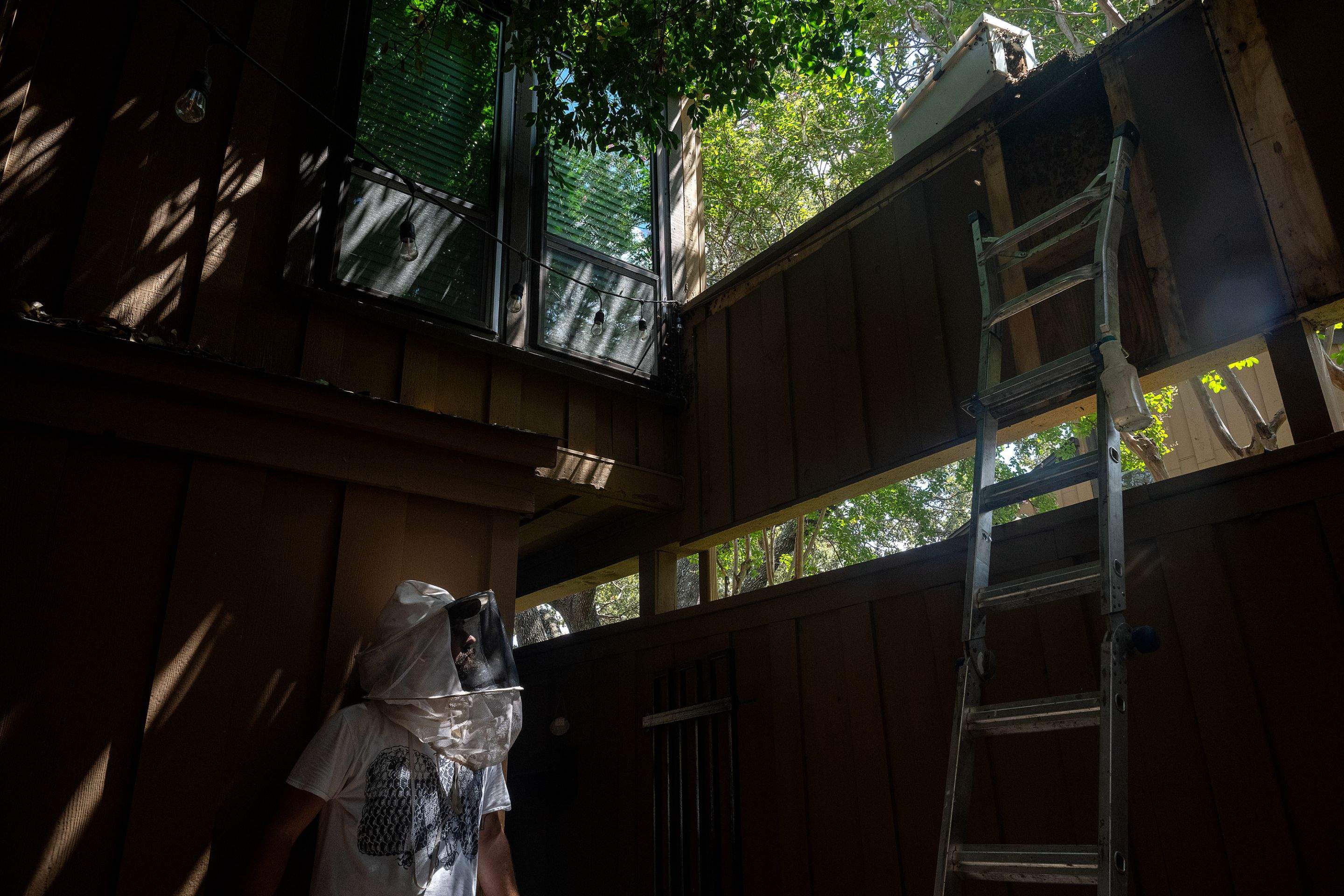 Condo Patio by Rockwall Honey Bee Company
