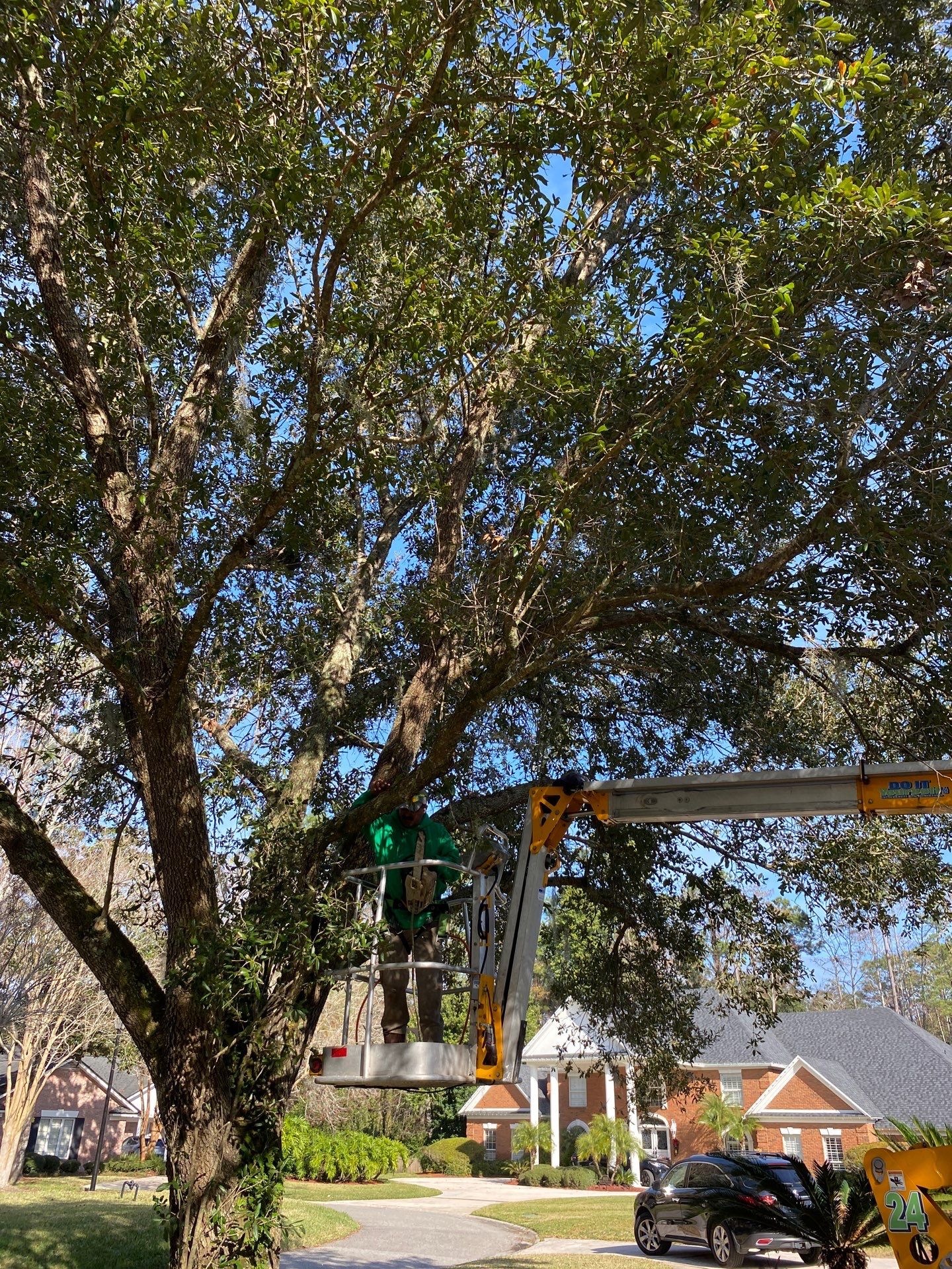 Deerwood Resident | General Landscaping by ProGreen Services