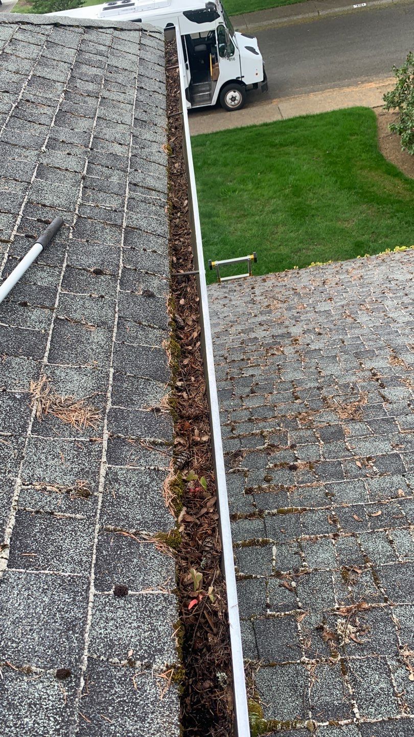 Softwashed in many Years back, and organic regrowth significant by DawnSky LLC