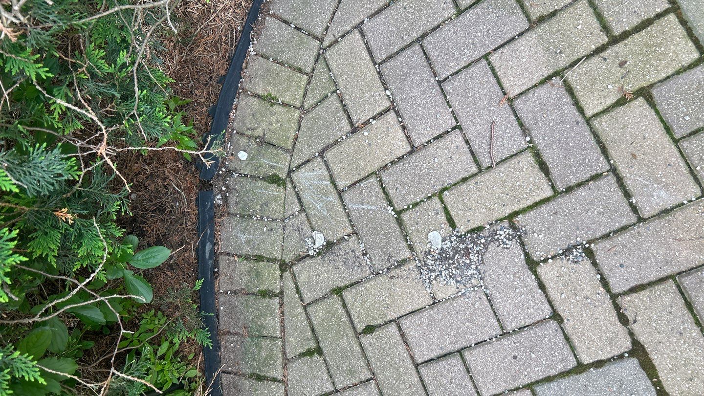 Brick paver repair, clean and seal   by Northern Power Washing LLC.