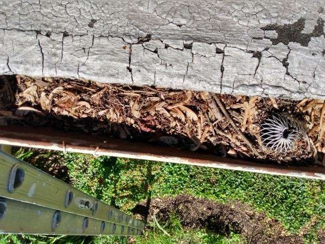 Slate Roof Repair & Gutter Cleaning in Roland Park by Roof Right Inc