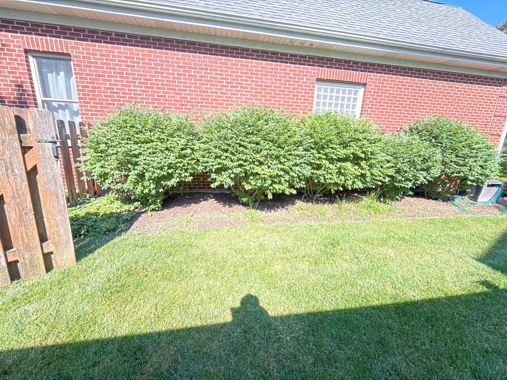 Rob M. - Arlington Heights, IL by A&N 