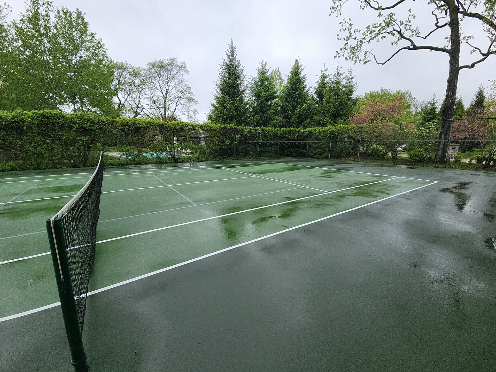 Tennis Court using Algaecide, soft wash soap by Northern Power Washing LLC.
