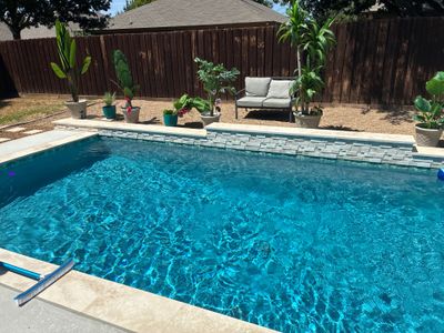 Modern Geometric Pool with Travertine Coping and Lush Landscaping