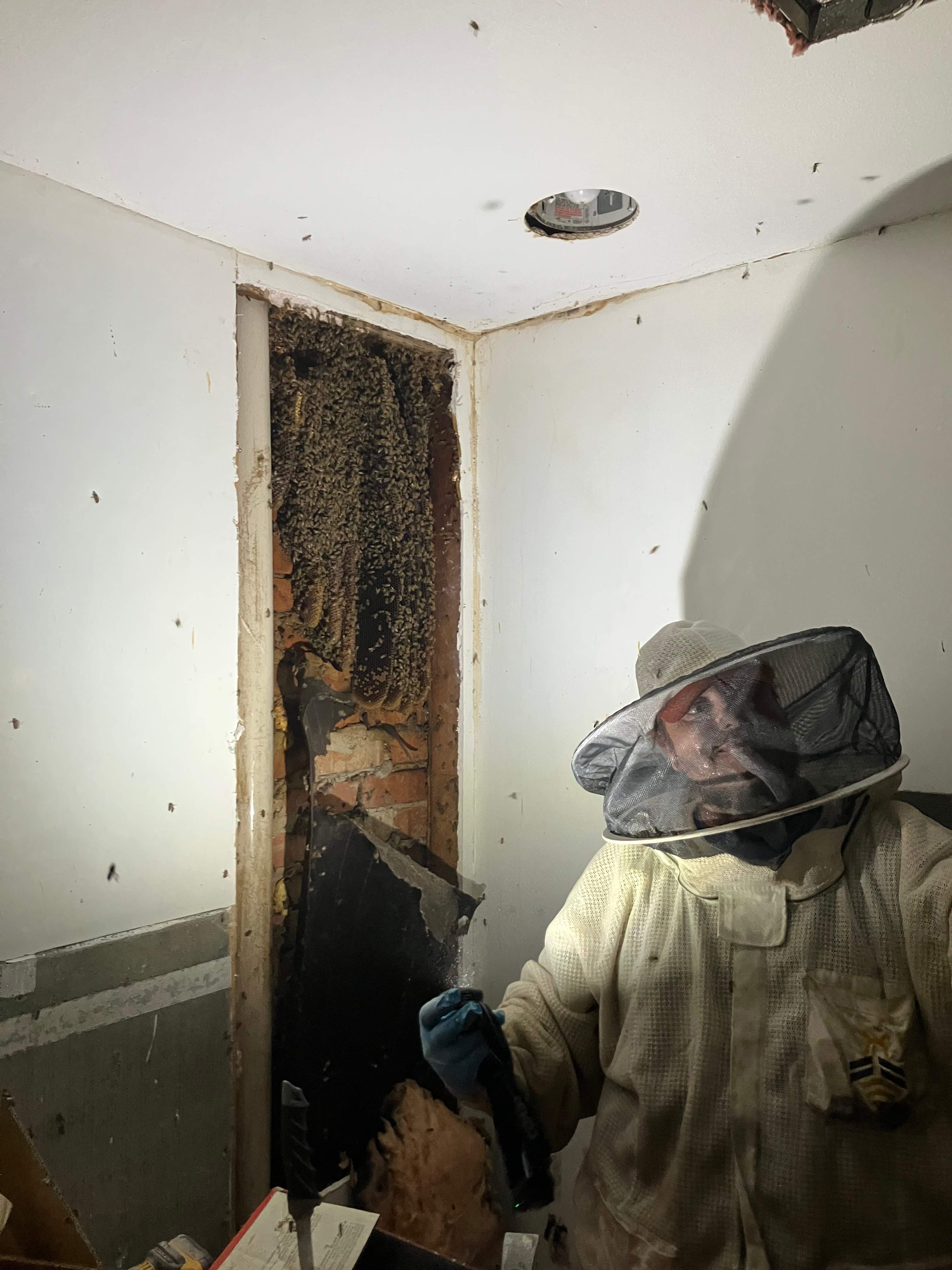 Improper Repair by Rockwall Honey Bee Company