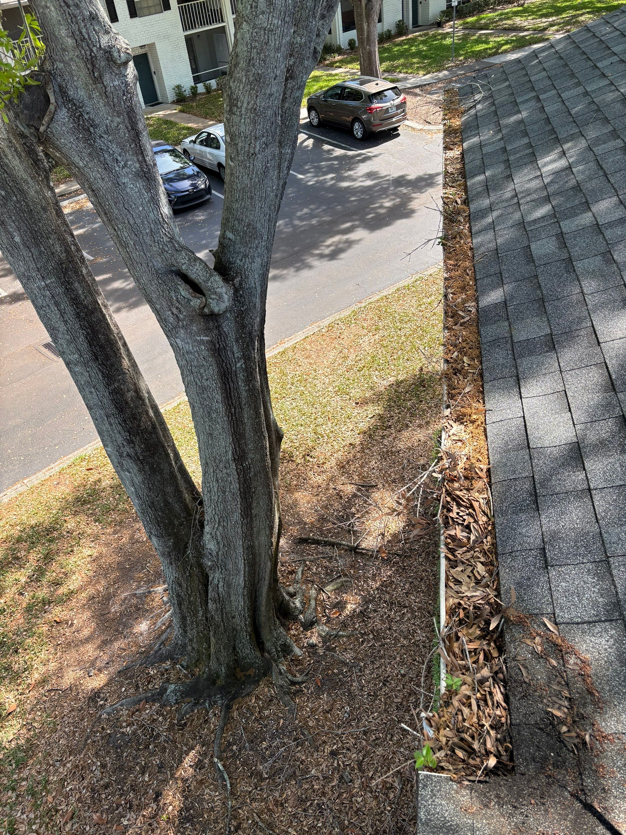 Orlando gutter cleaning before photo with full gutters.