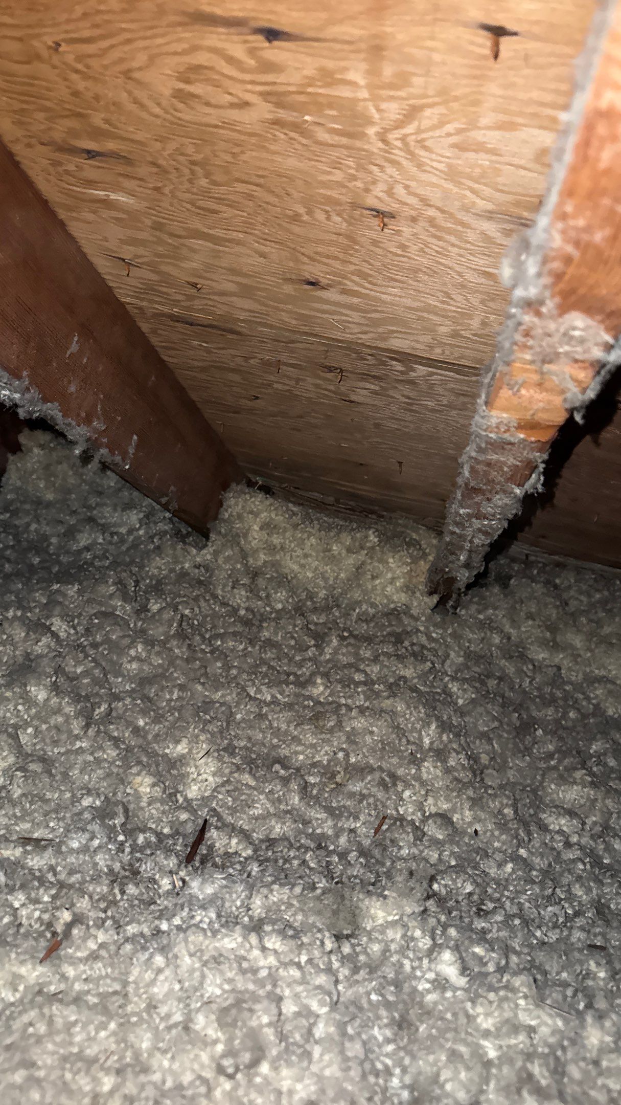 Roof Replacement using Owens Corning Onyx Black by 180 Contractors