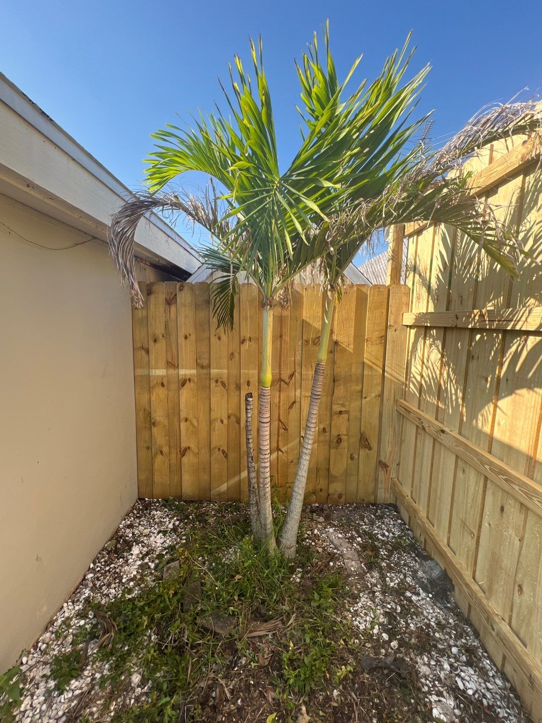 Bradenton, FL Wood Fence Installation using Board on Board Wood Fence by Asap fence and gates, LLC