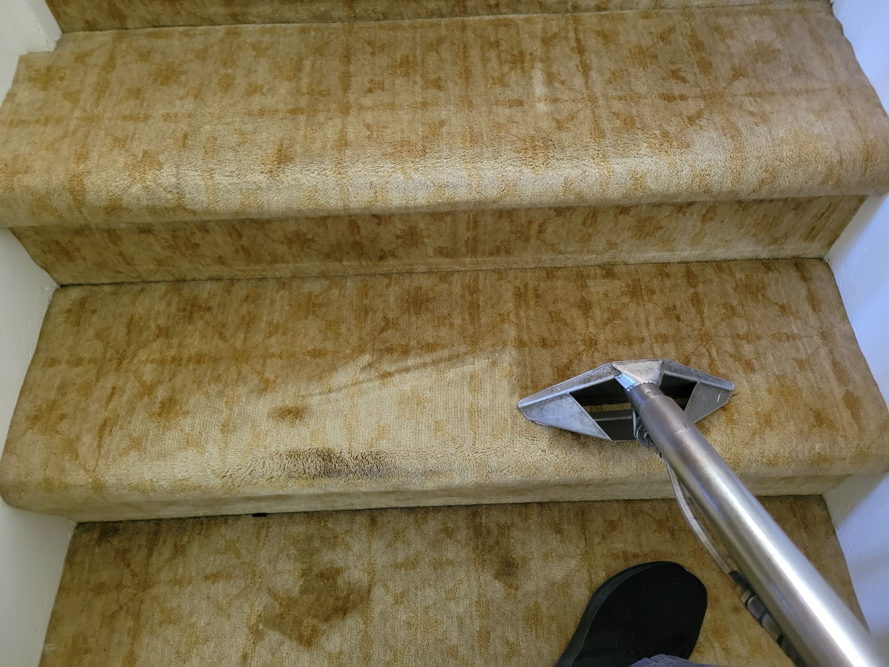 Carpet Cleaning of a Wool Staircase by Ardent Carpet Restore LLC