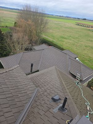Shake to EuroShield in Stanwood