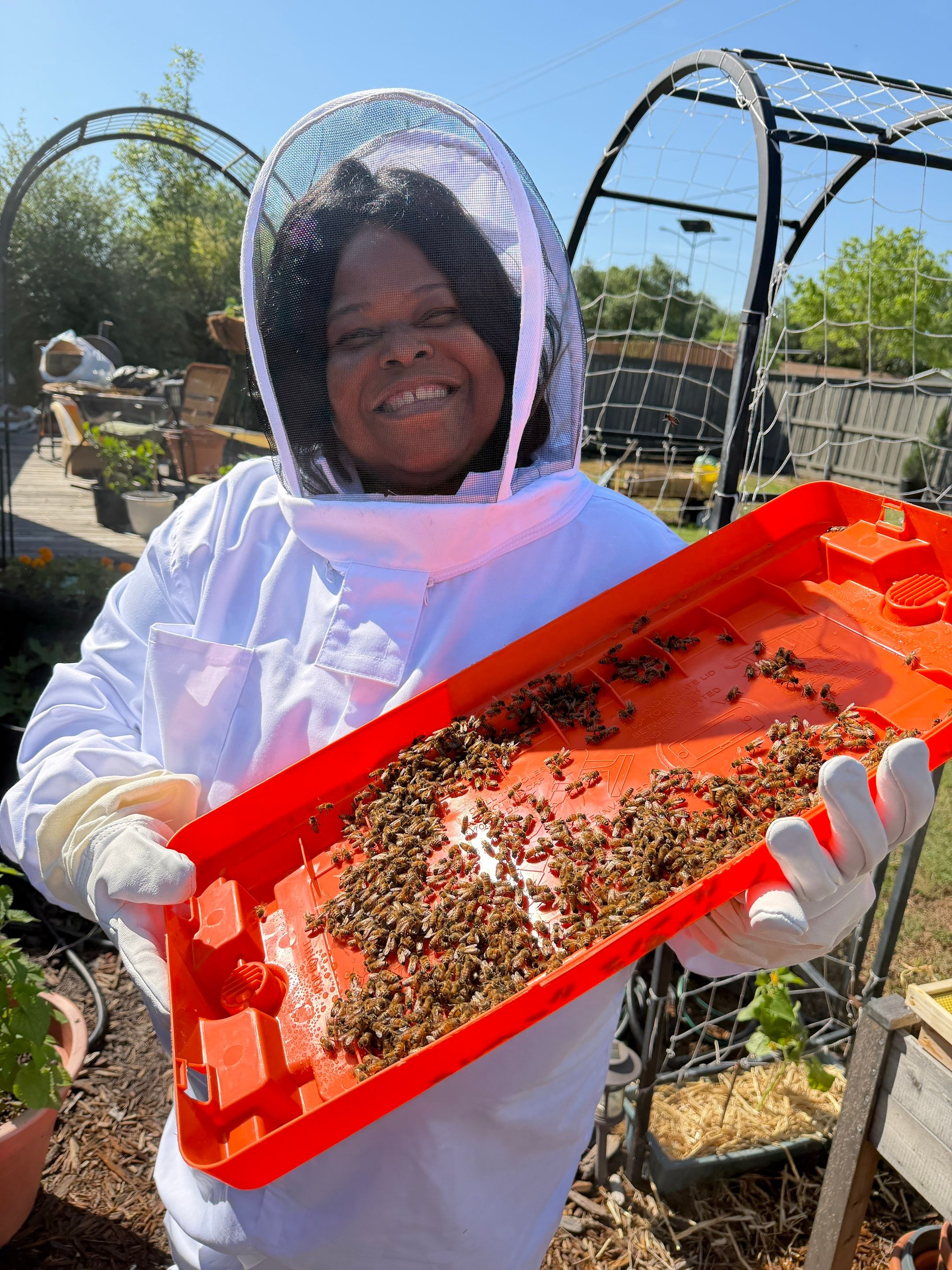 New beekeeper in Rowlett by Rockwall Honey Bee Company