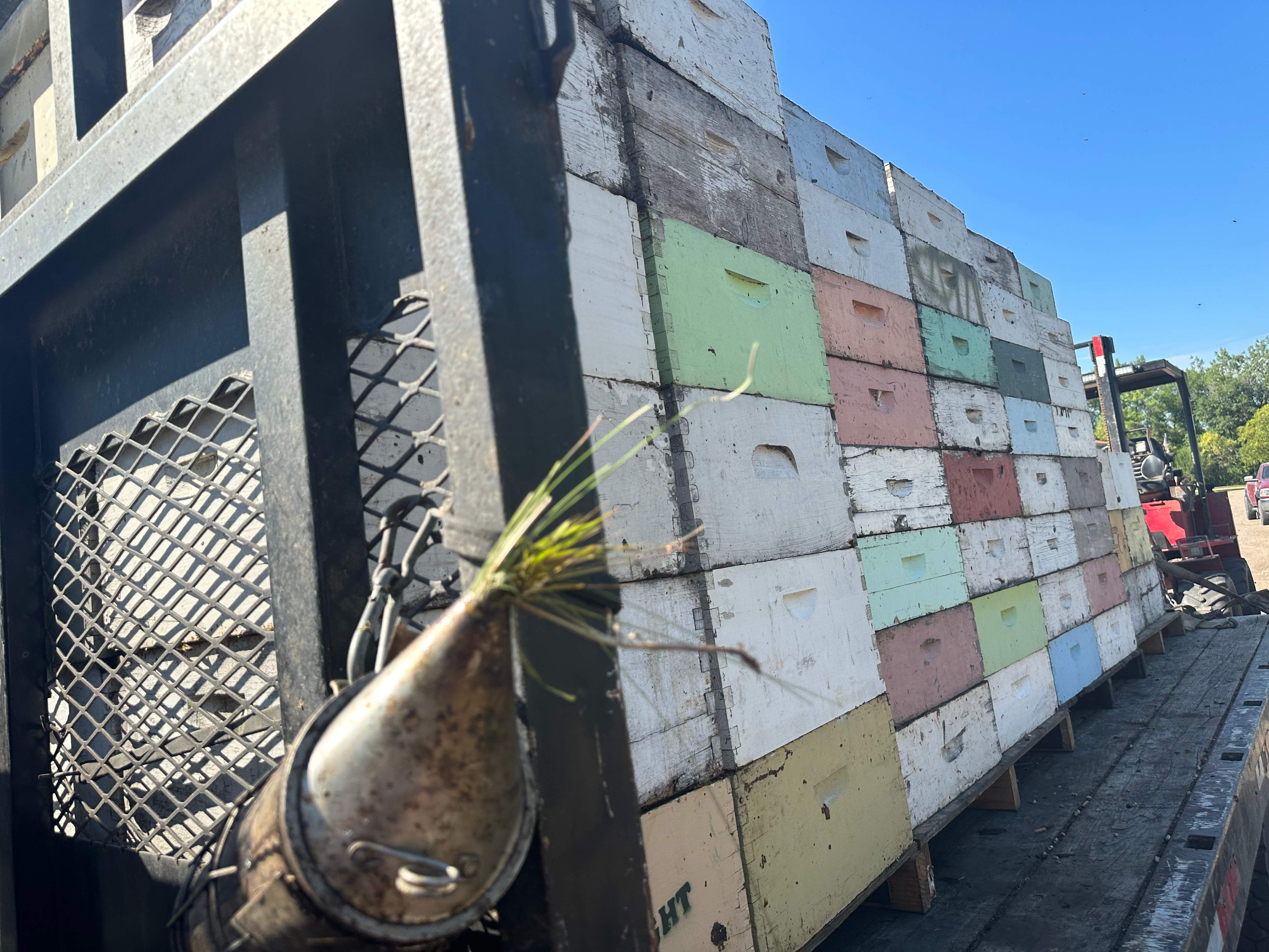 BeeGirl's Honey House in the Midwest by Rockwall Honey Bee Company