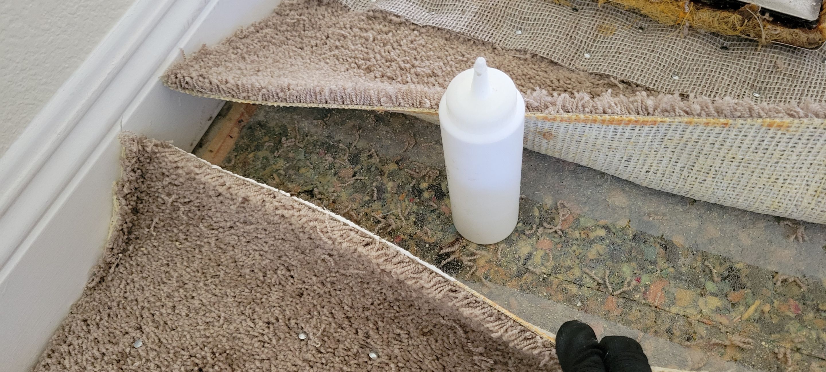 Stretching Hallway Carpet of a Rental by Ardent Carpet Restore LLC