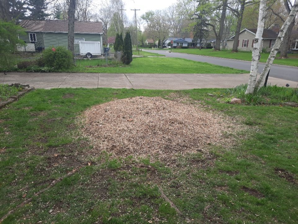 Tree Removal using Tree Removal by Mike Jones & Sons Tree Service LLC 