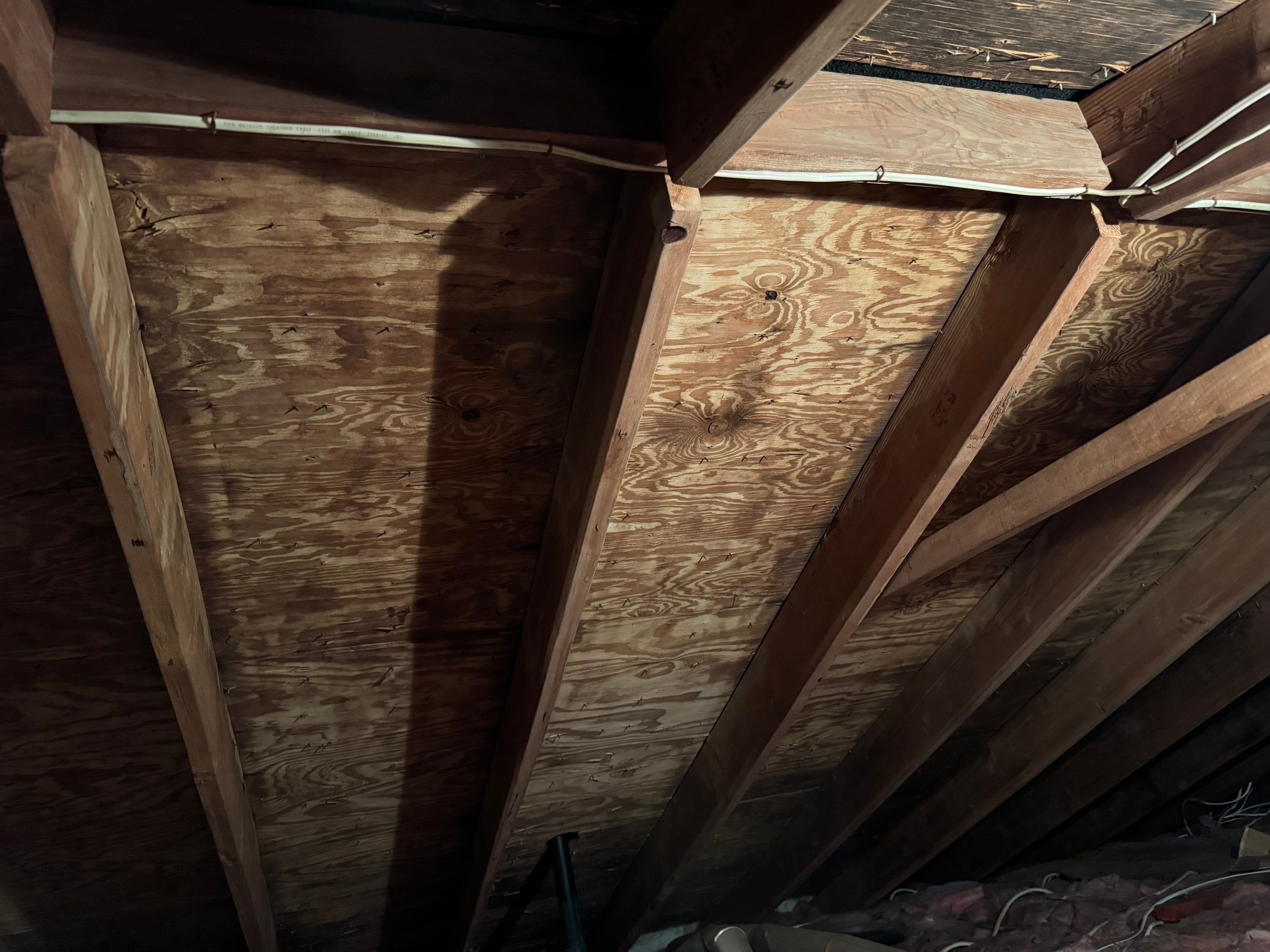 Attic Mold Remediation by Home Guarantee, LLC