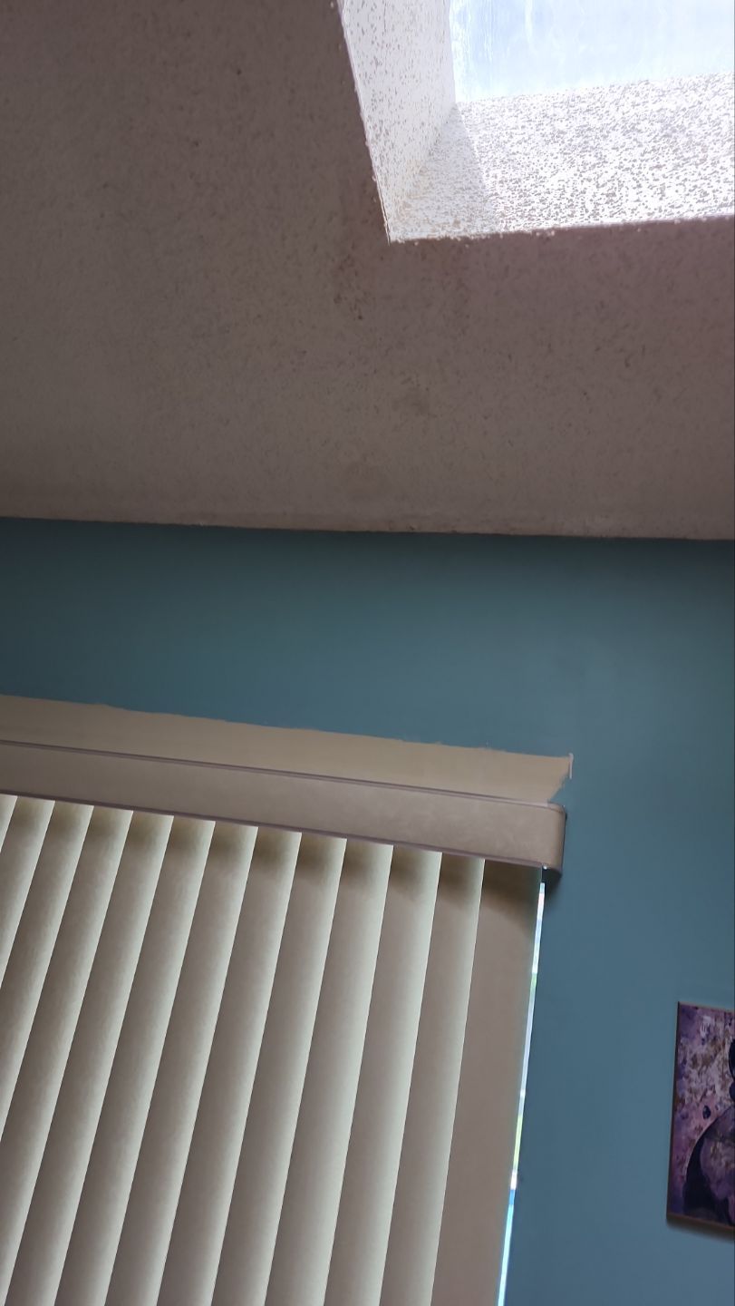 REPLACE NON APPROVED SKYLIGHT ALONG WITH CLOGED GUTTER by Morton Roofing, Inc.