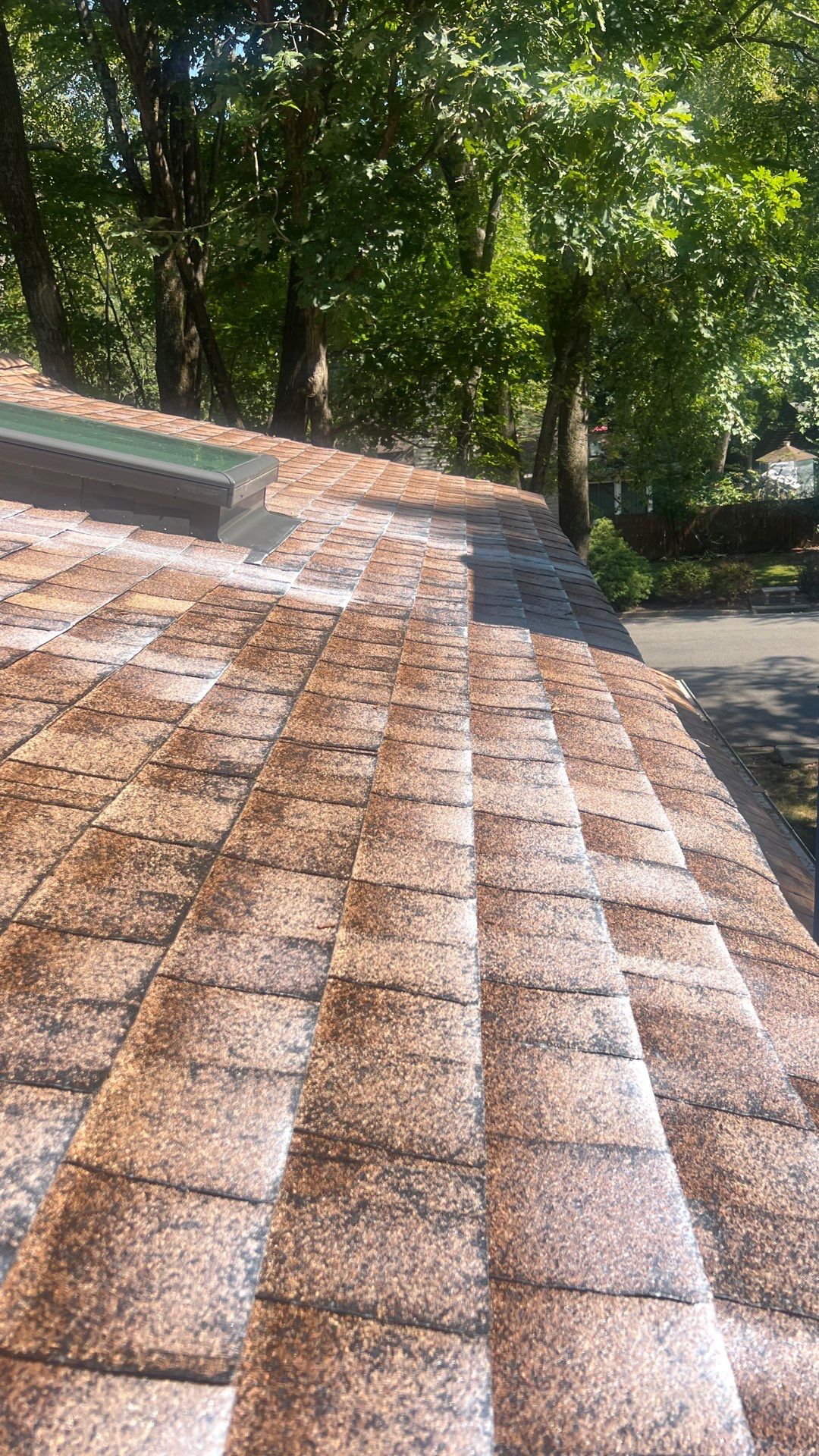 Project in Richmond by Roof Maxx of Midlothian