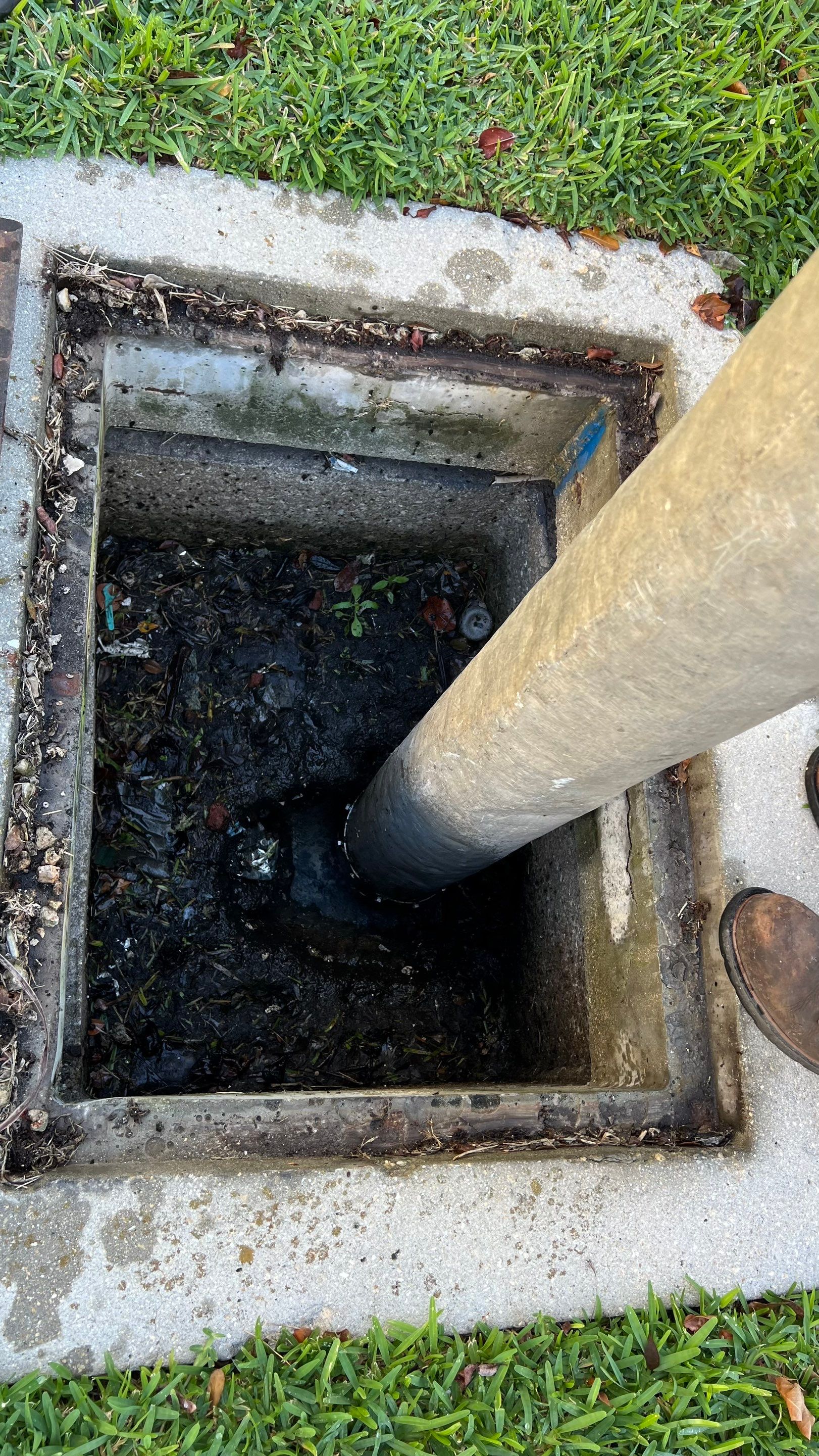 Stromwater System Maintenance at Bill Smith Appliances / Critter Cafe Marco Island Catch Basin by Don Mar, Inc. Storm Water Solutions