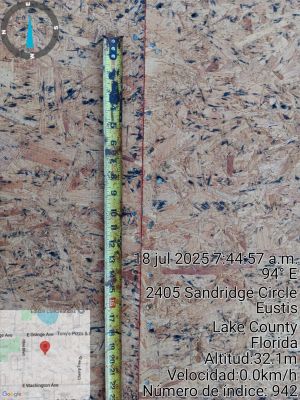 Project in Eustis