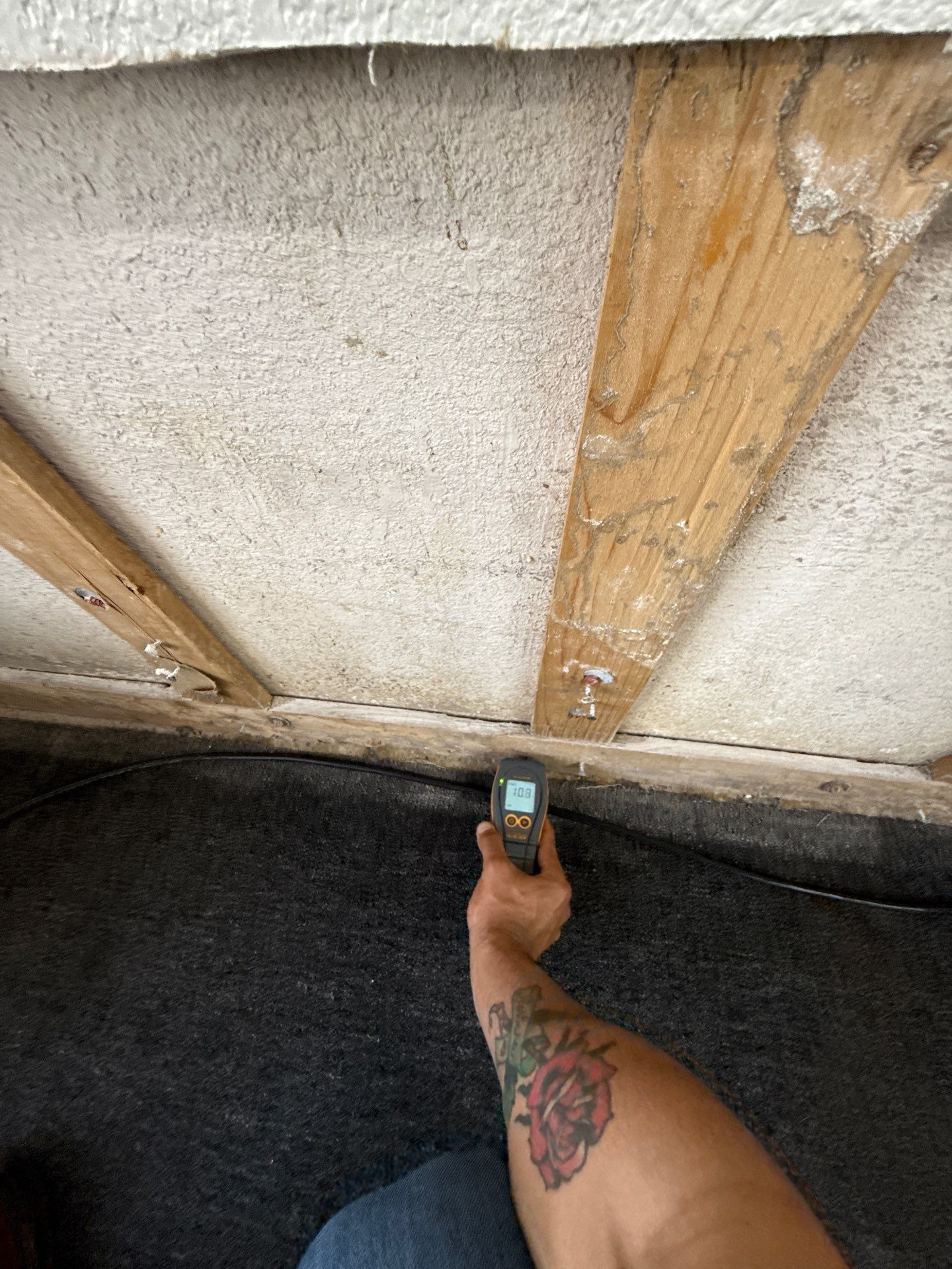 Project in Harlingen by First Response Restoration LLC
