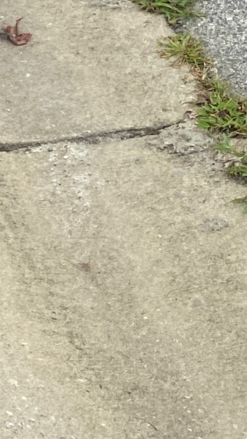 Residential Roofing Installation using Owens Corning by Inspector Roofing and Restoration