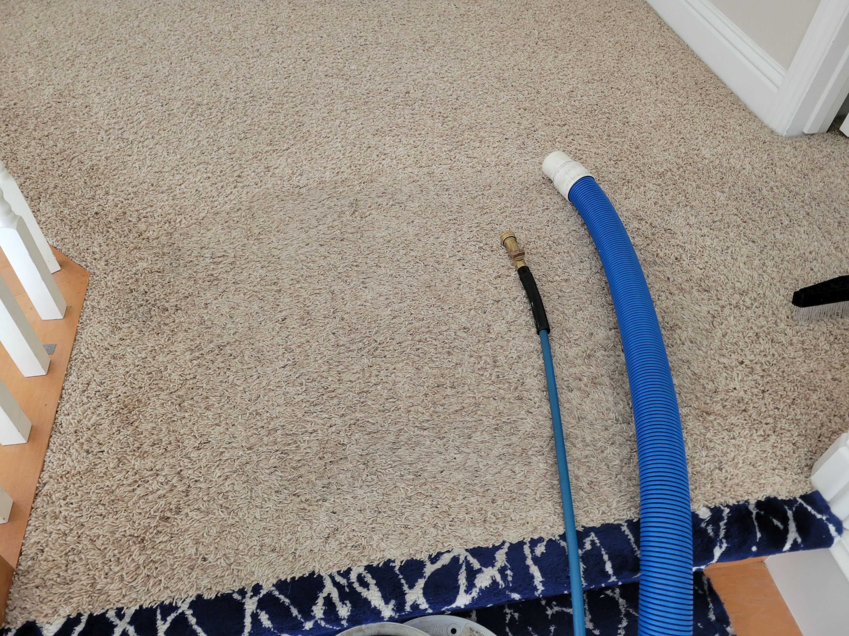 Black Staining, Carpet Cleaning by Ardent Carpet Restore LLC