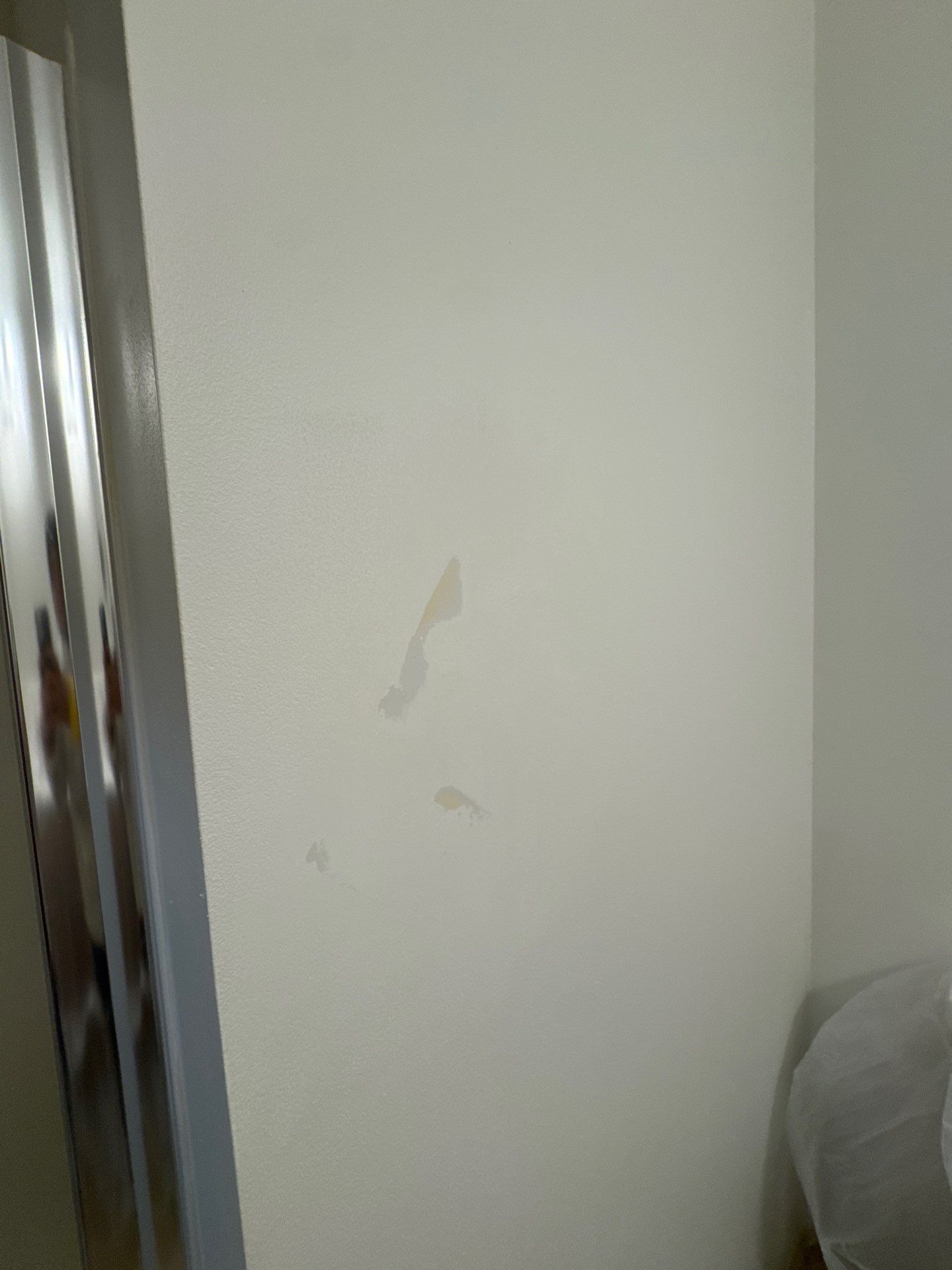Project in Ankeny by Midwest Paint LLC