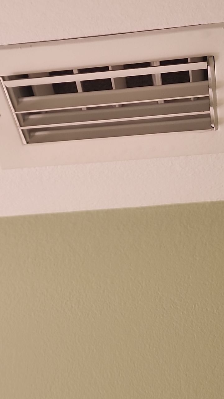 Humidity Bloom that caused mold to Grow by Building performance Solutions LLC