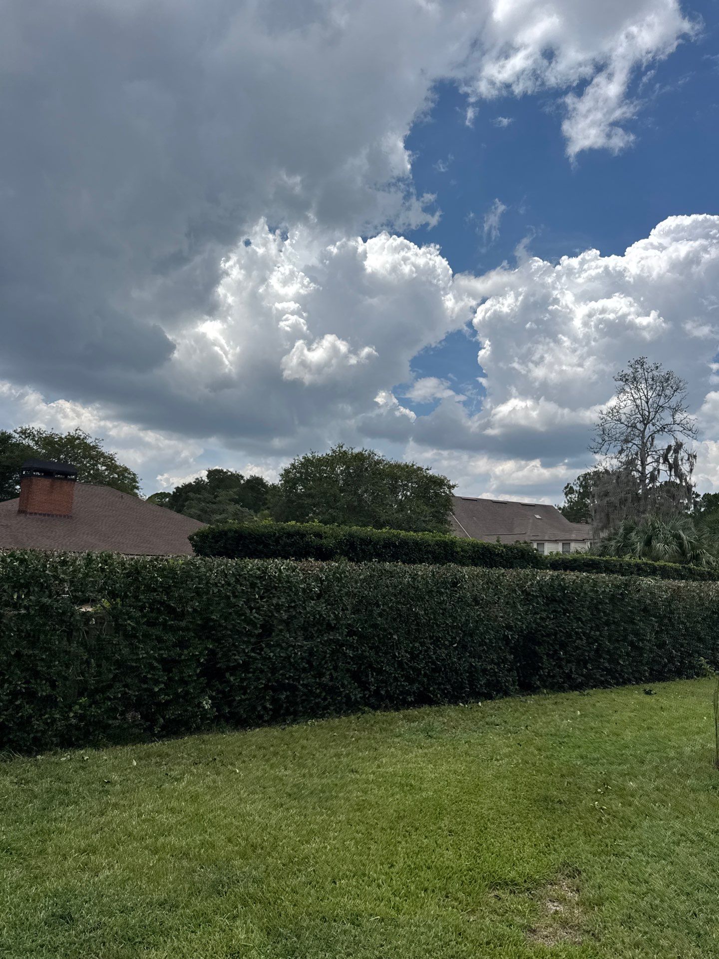 Deerwood Resident | Shrub Trimming by ProGreen Services
