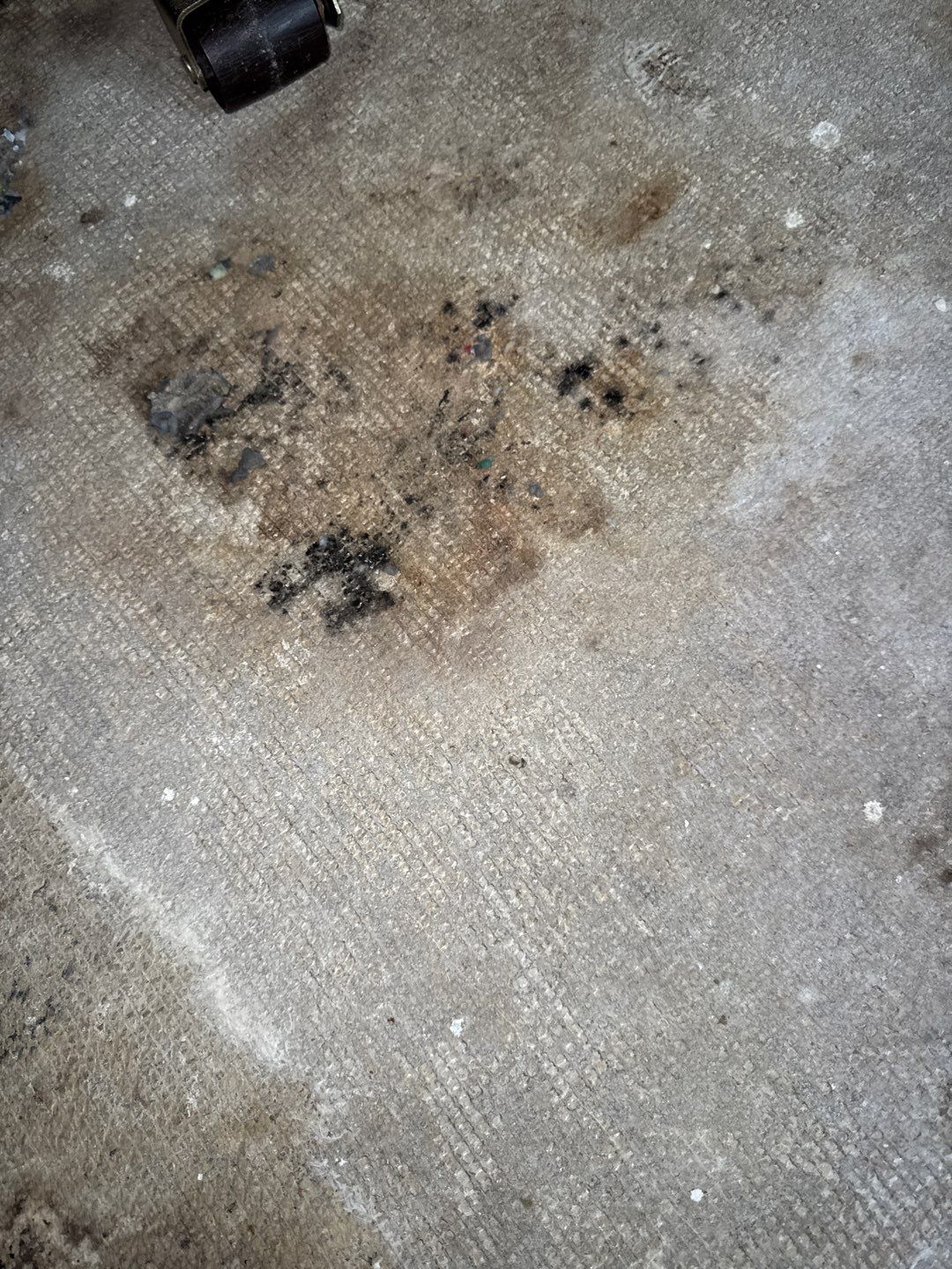 Mold Remediation Project by Chicagoland Water Medics