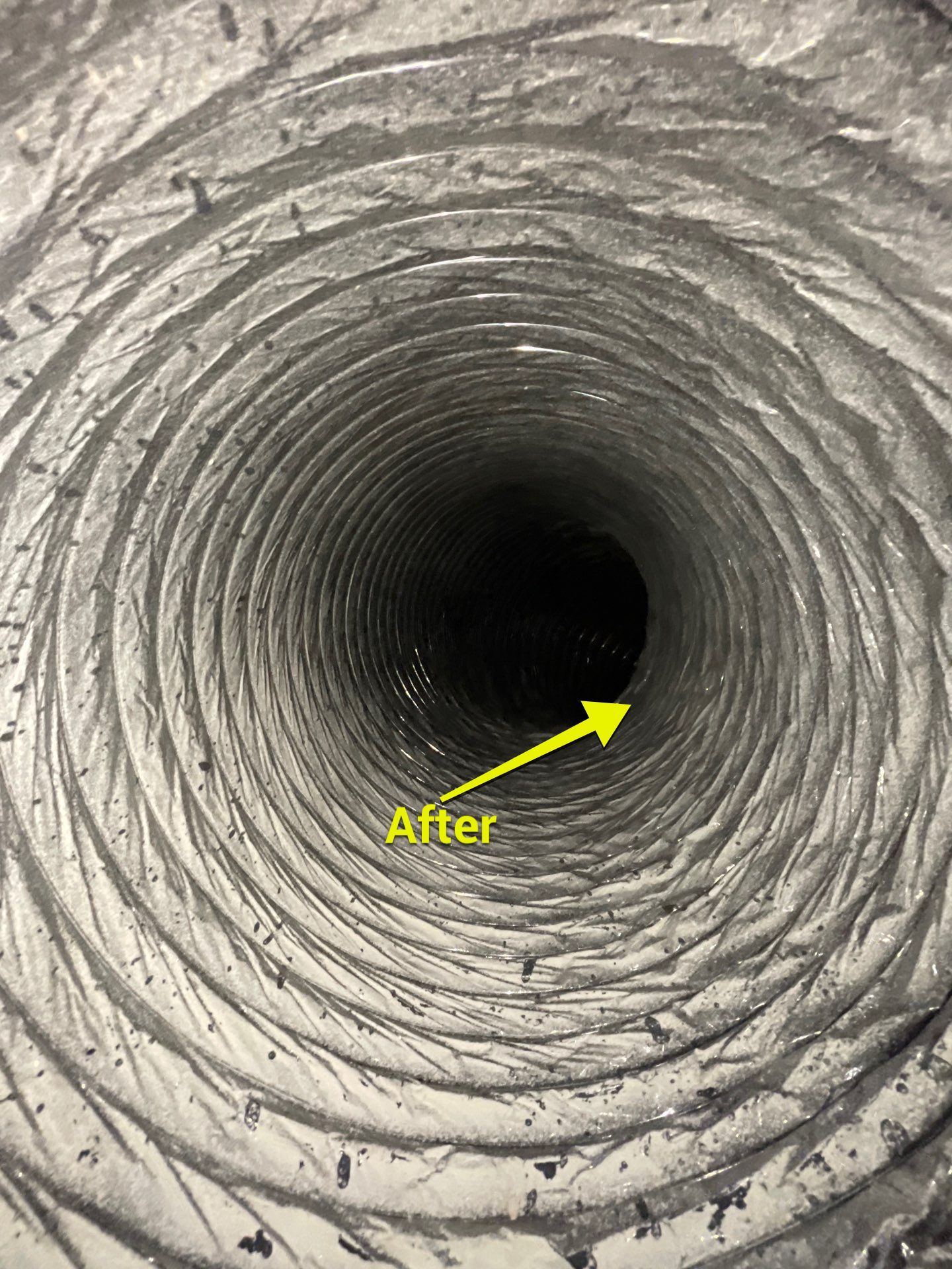 Air Duct Cleaning in Bartow by Hygienic Air, Inc
